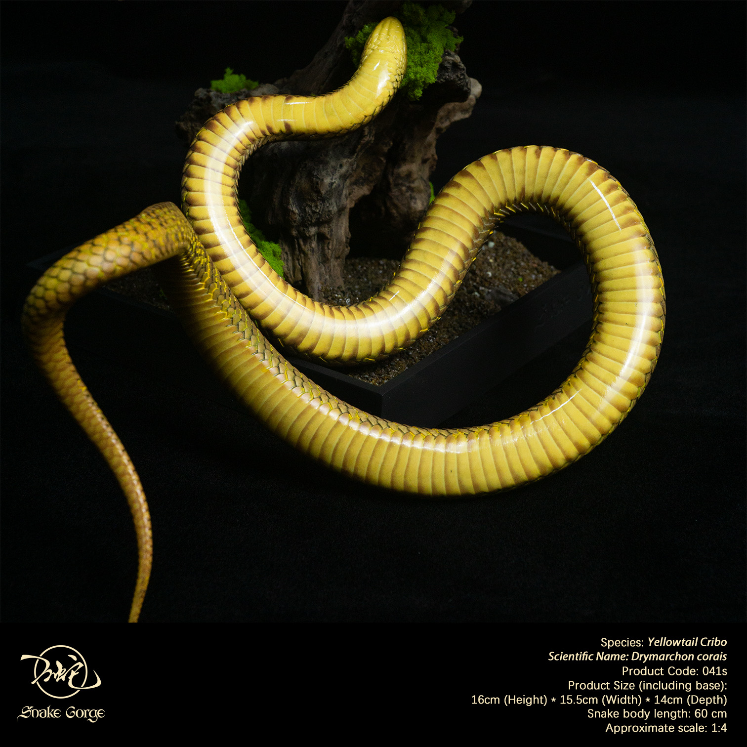 (예약 상품) Snake Gorge스튜디오 옐로우테일 크리보