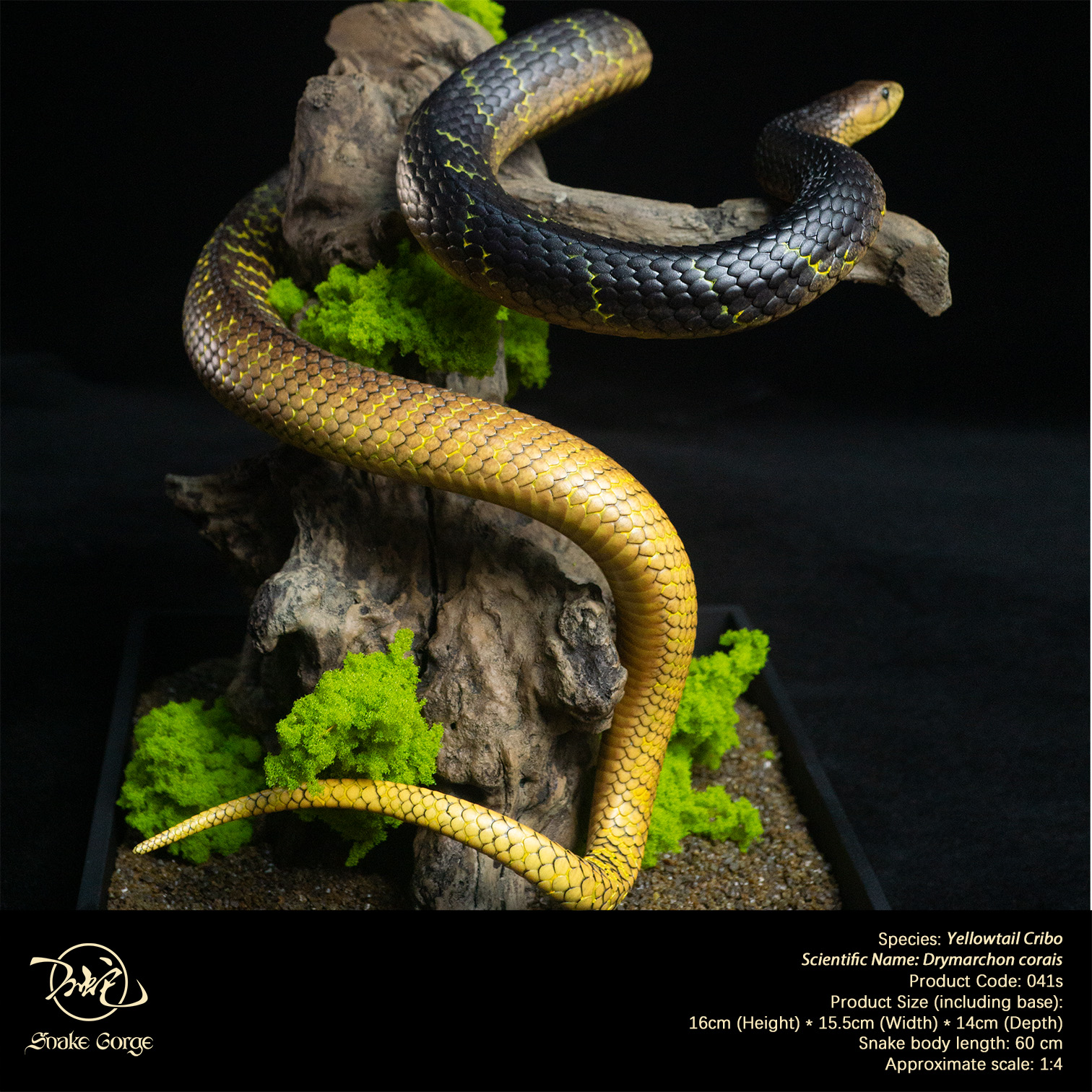 (예약 상품) Snake Gorge스튜디오 옐로우테일 크리보