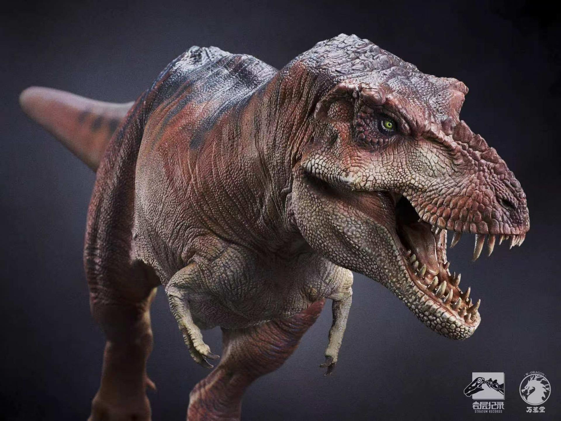 (예약 상품) 만롱당 암층 기록 시리즈 1/35 비율 티라노사우루스 이색 버전 PVC
