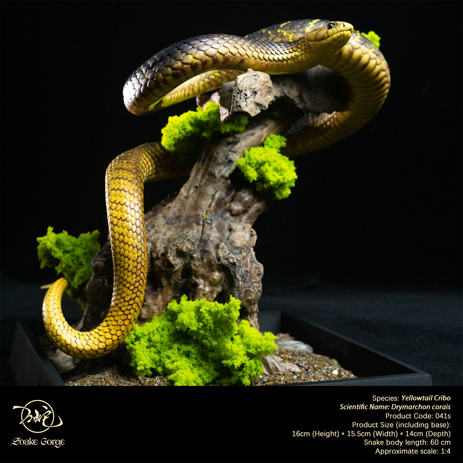 (예약 상품) Snake Gorge스튜디오 옐로우테일 크리보
