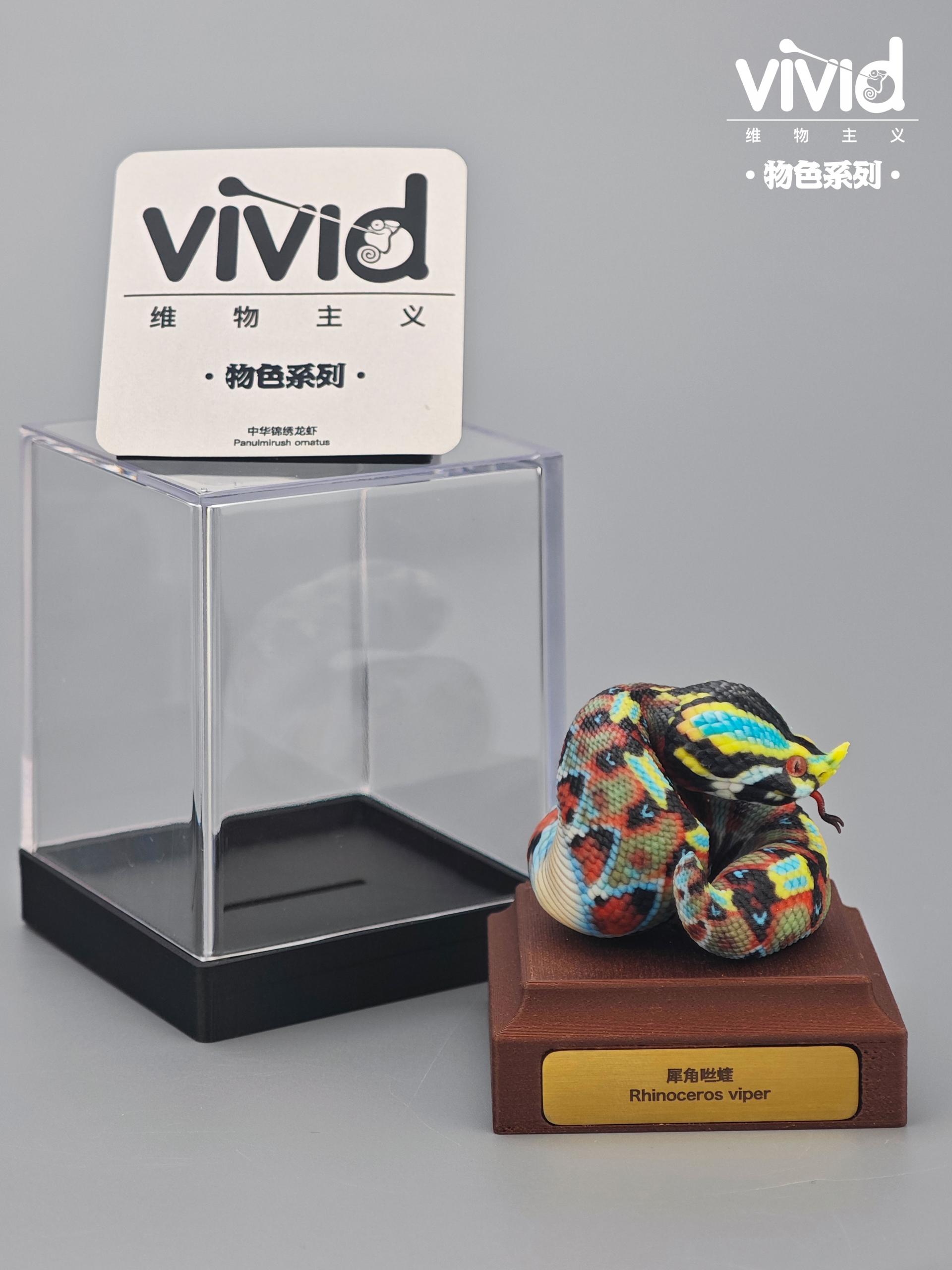 (예약 상품) Vivid스튜디오 물색 시리즈 라이노 바이퍼