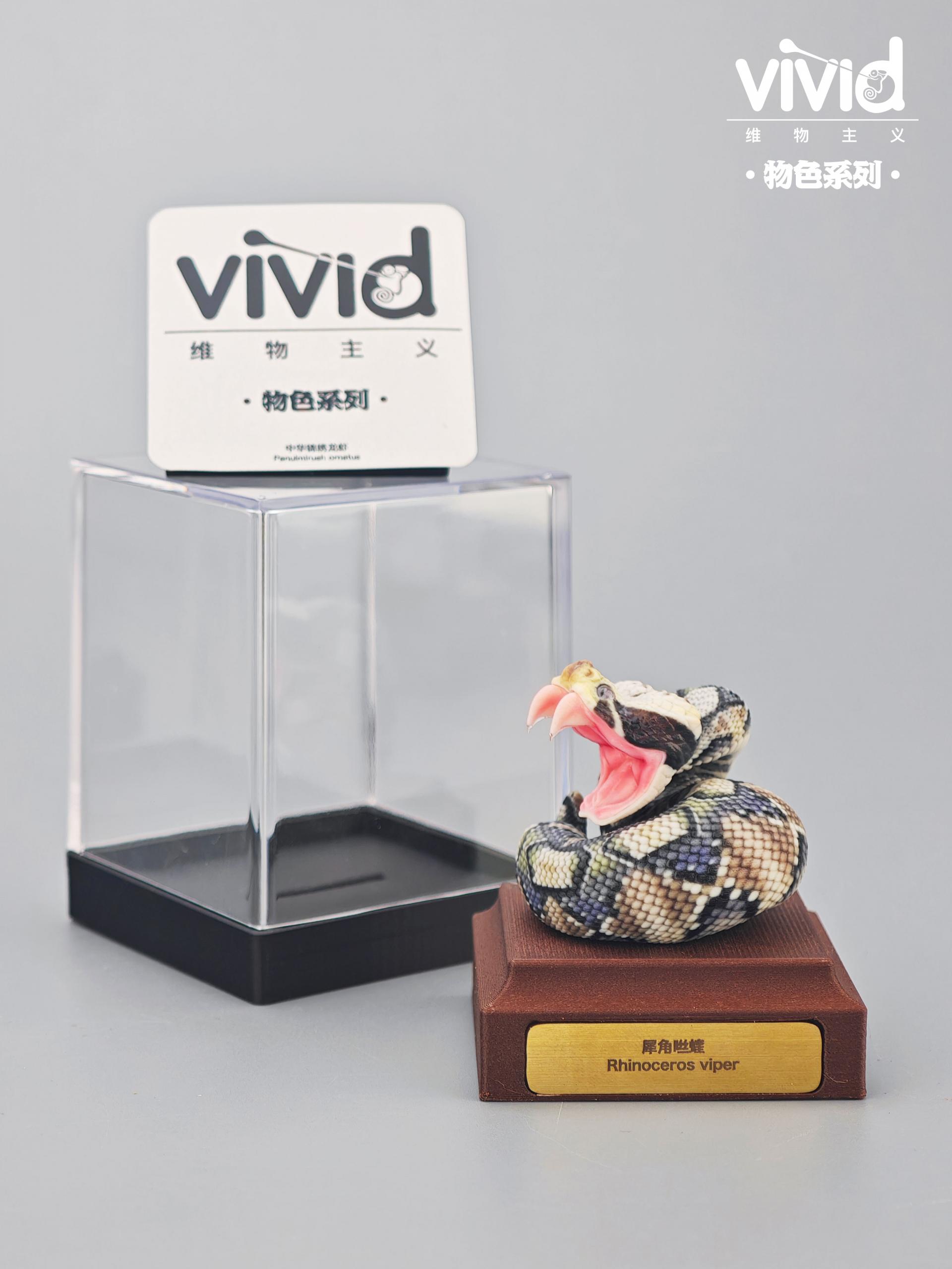 (예약 상품) Vivid스튜디오 물색 시리즈 가분 바이퍼