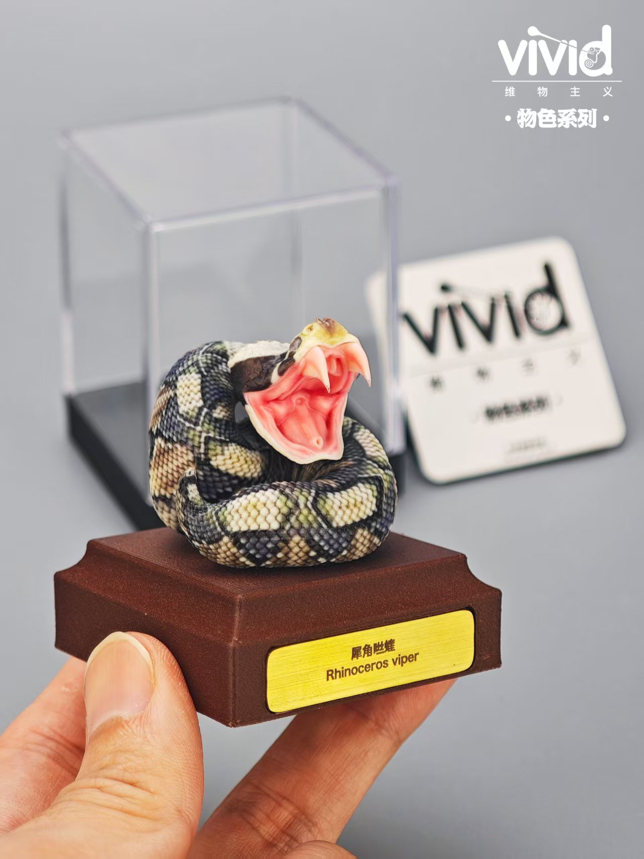 (예약 상품) Vivid스튜디오 물색 시리즈 가분 바이퍼