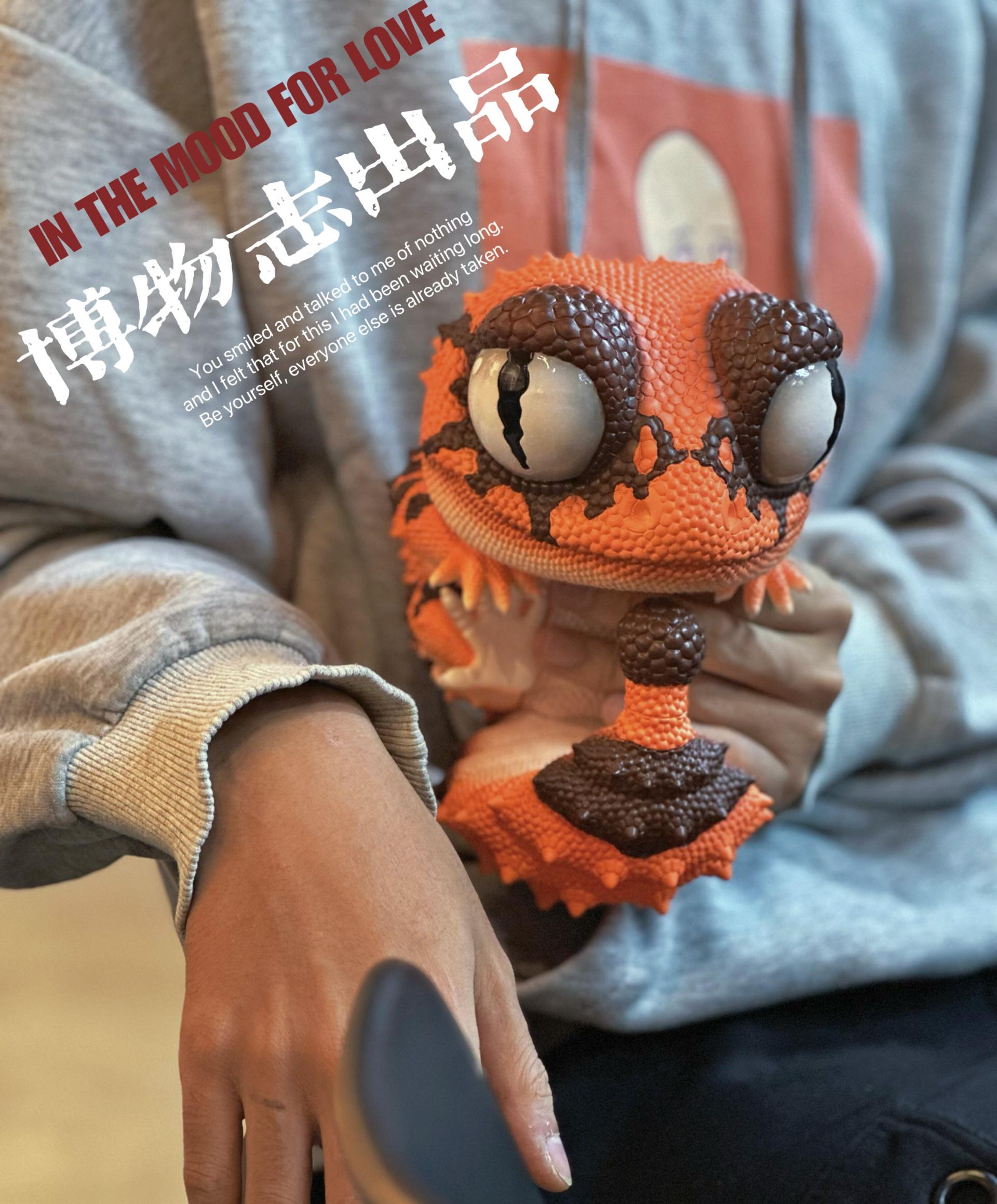 박물지스튜디오 노던 밴디드 납테일 게코 PLUS VER