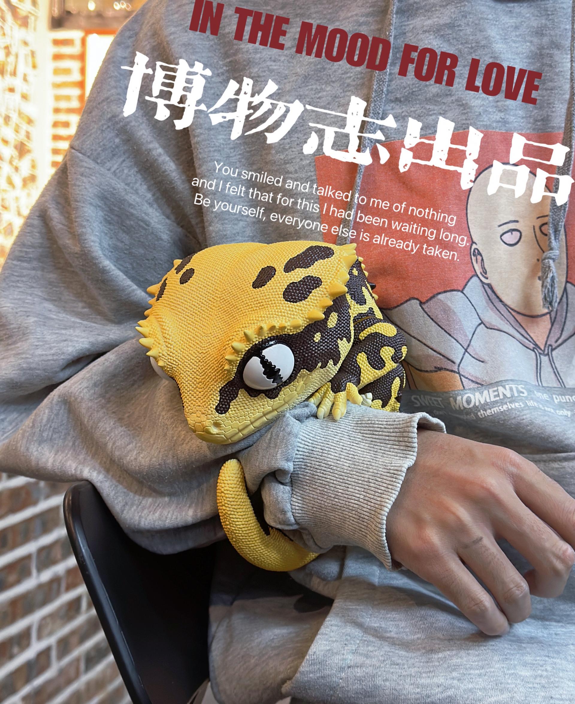 박물지스튜디오 크레스티드 게코 PLUS VER
