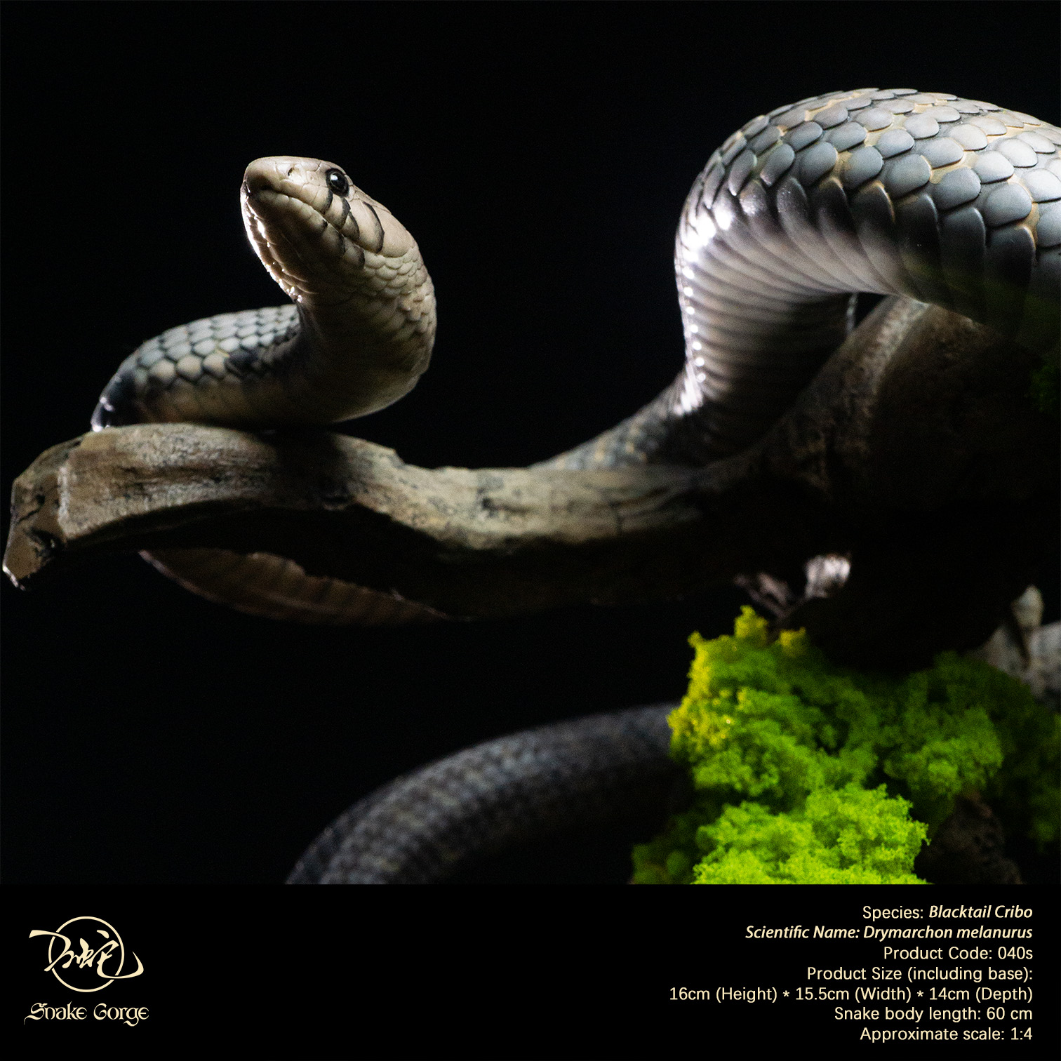 (예약 상품) Snake Gorge스튜디오 블랙테일 크리보