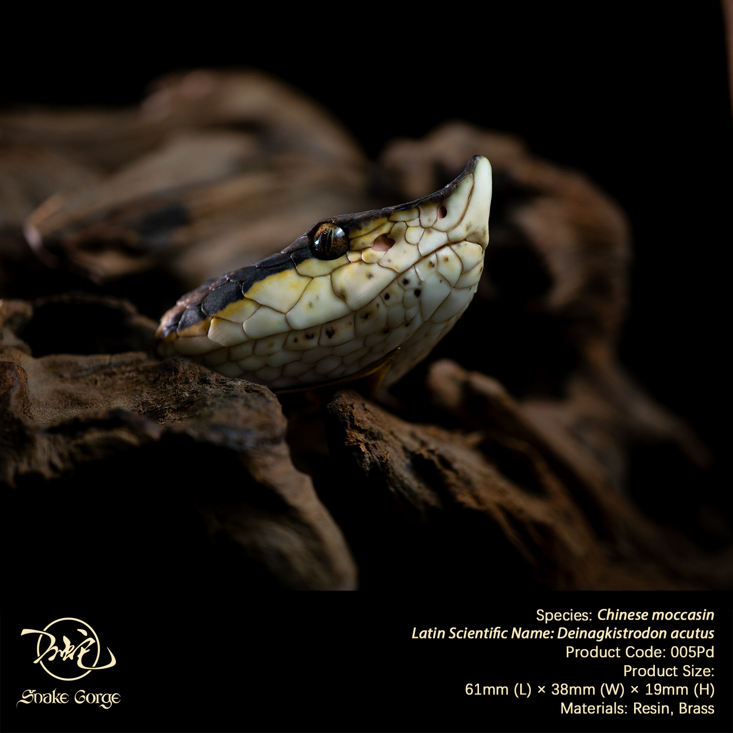 (예약 상품) Snake Gorge스튜디오 백보사 펜던트