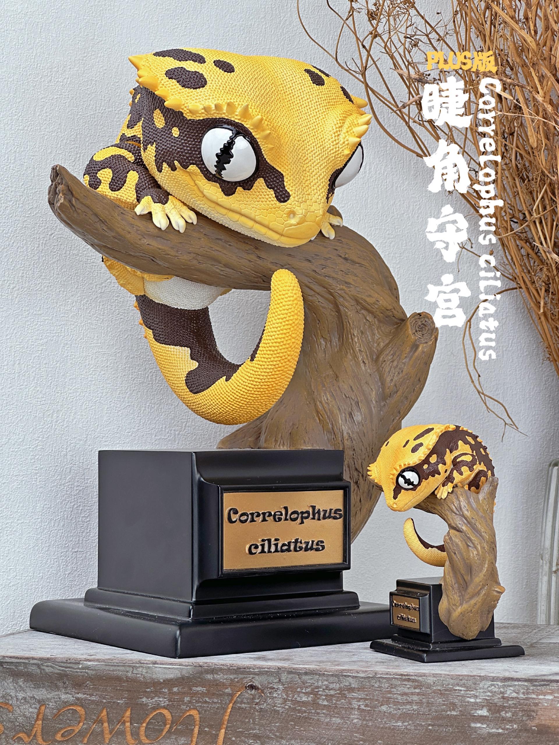 박물지스튜디오 크레스티드 게코 PLUS VER