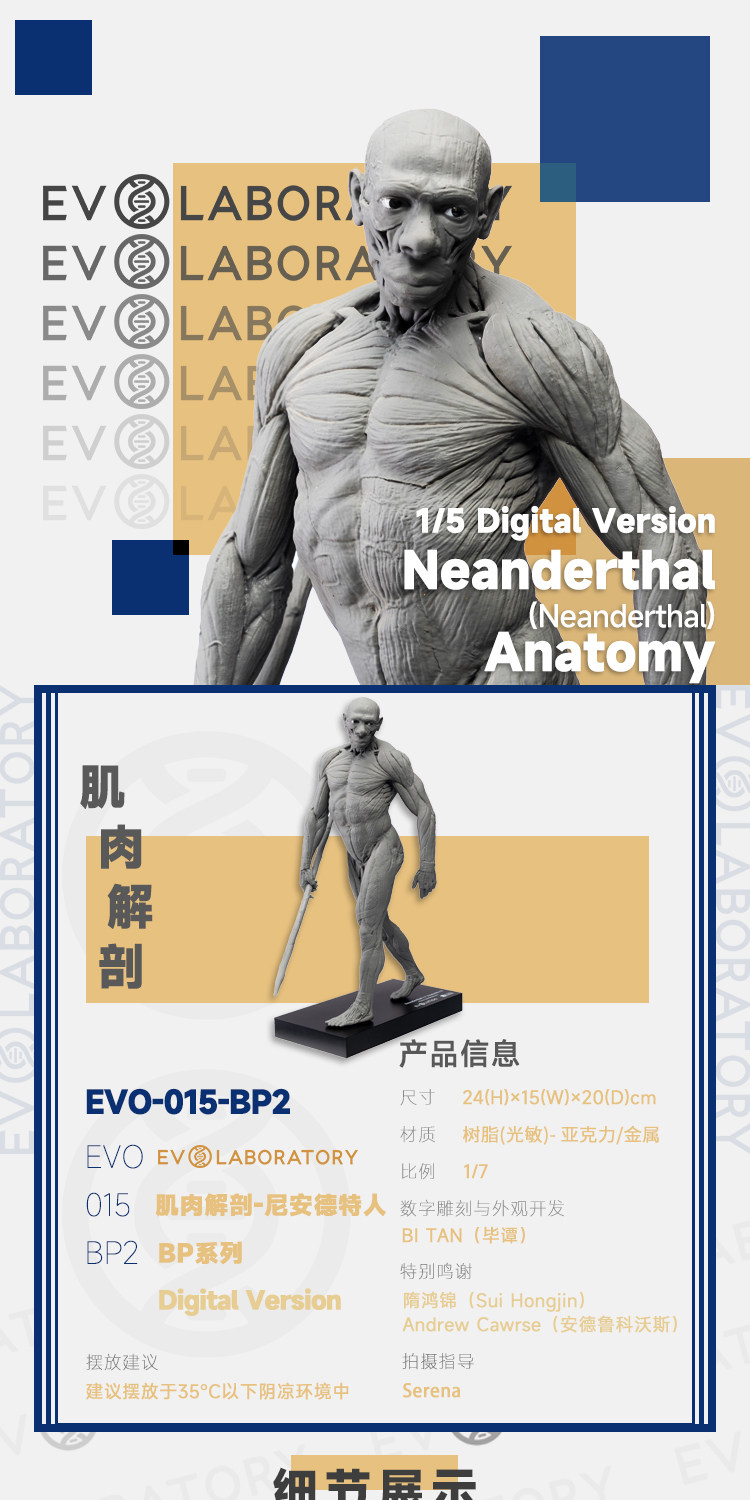 EVOLABORATORY 1:7 비율 네안데르탈인 아나토미 모델 BP版 복제