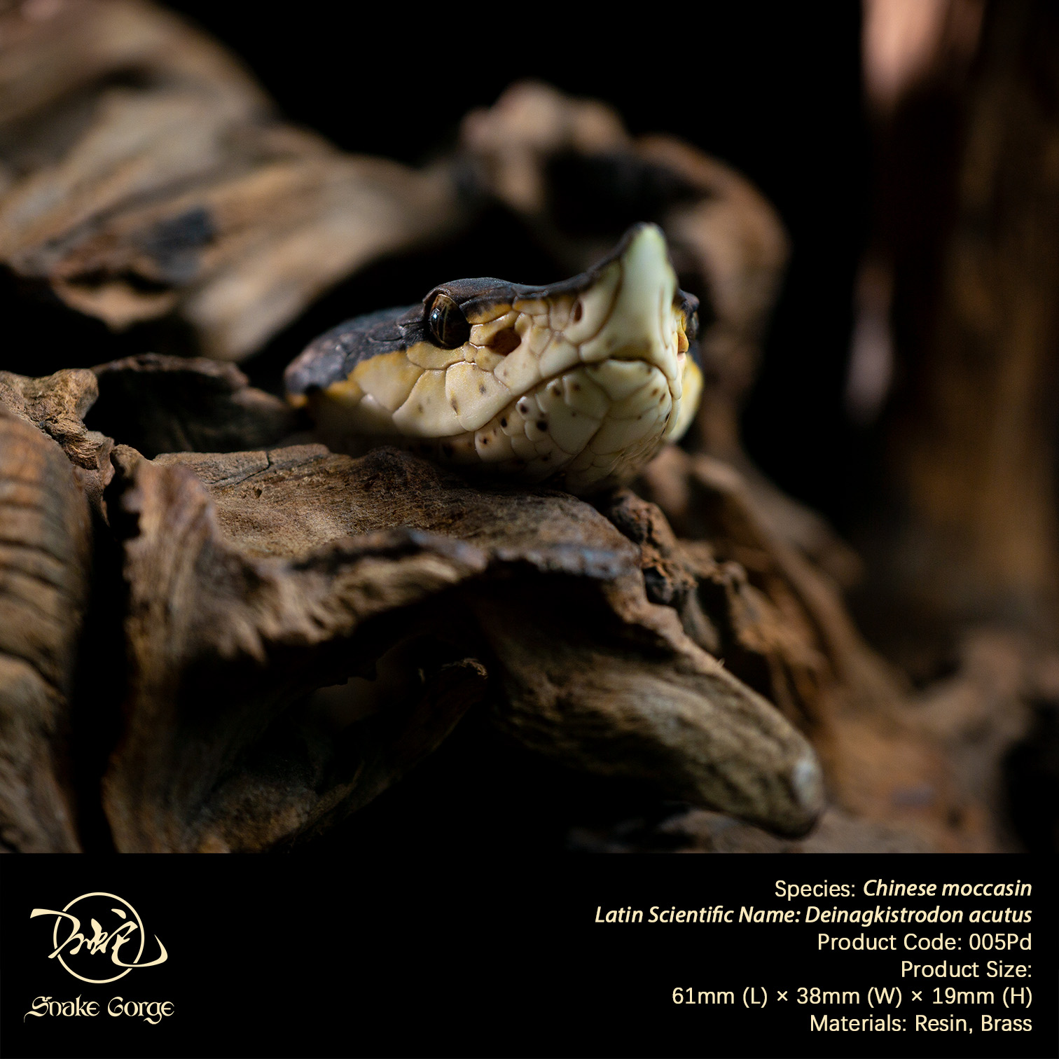 (예약 상품) Snake Gorge스튜디오 백보사 펜던트