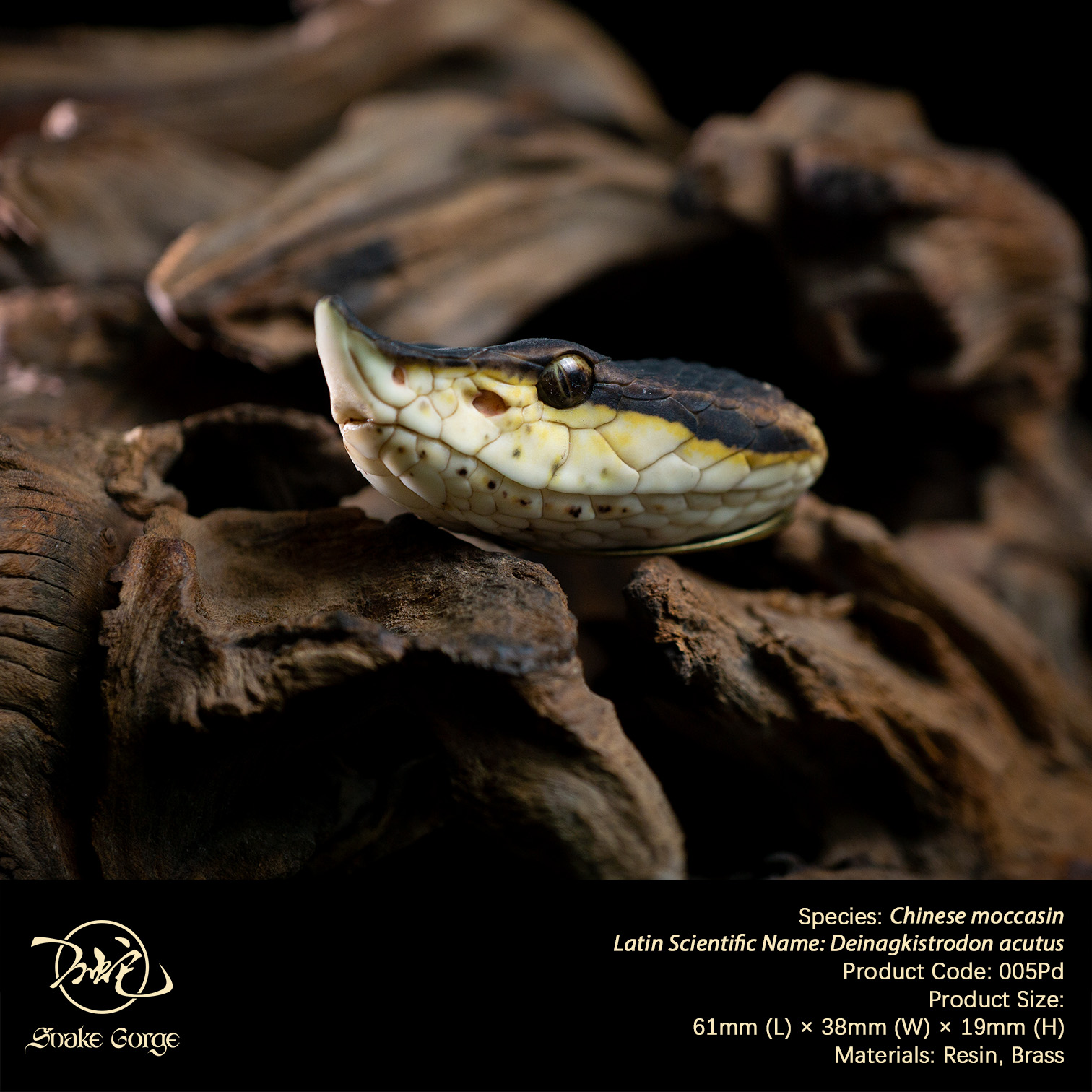 (예약 상품) Snake Gorge스튜디오 백보사 펜던트