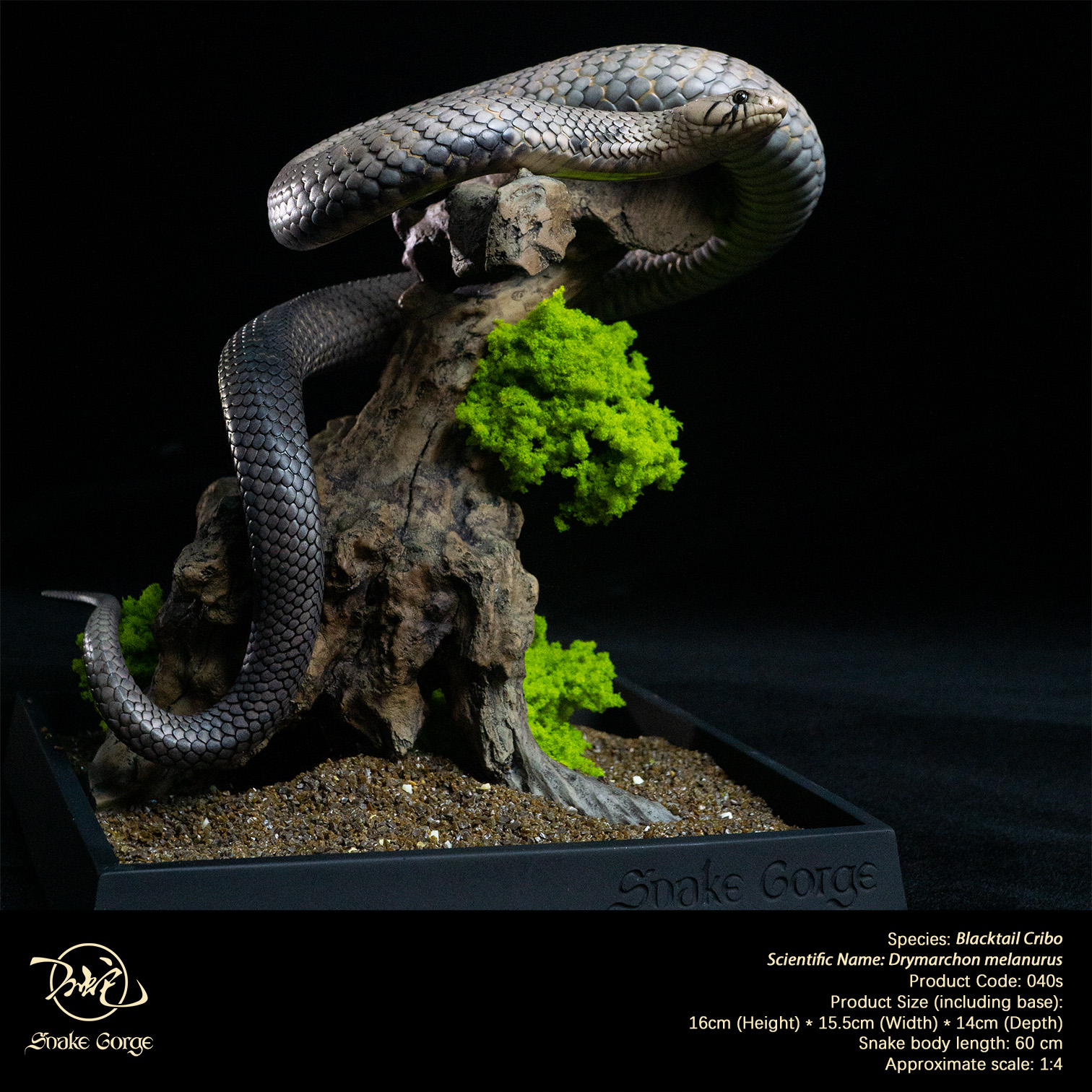 (예약 상품) Snake Gorge스튜디오 블랙테일 크리보