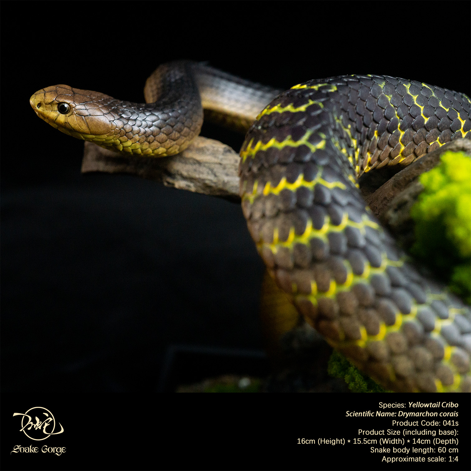 (예약 상품) Snake Gorge스튜디오 옐로우테일 크리보