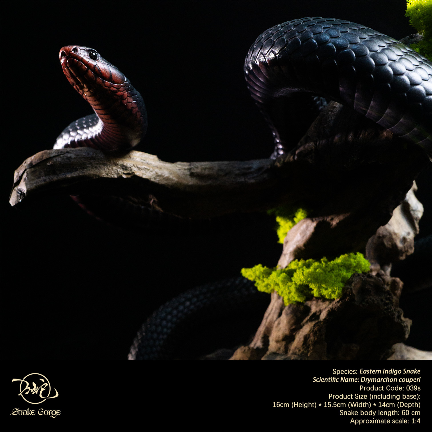 (예약 상품) Snake Gorge스튜디오 동부인디고뱀