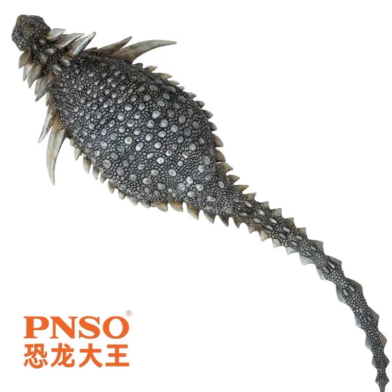 PNSO 보레알로펠타(38)
