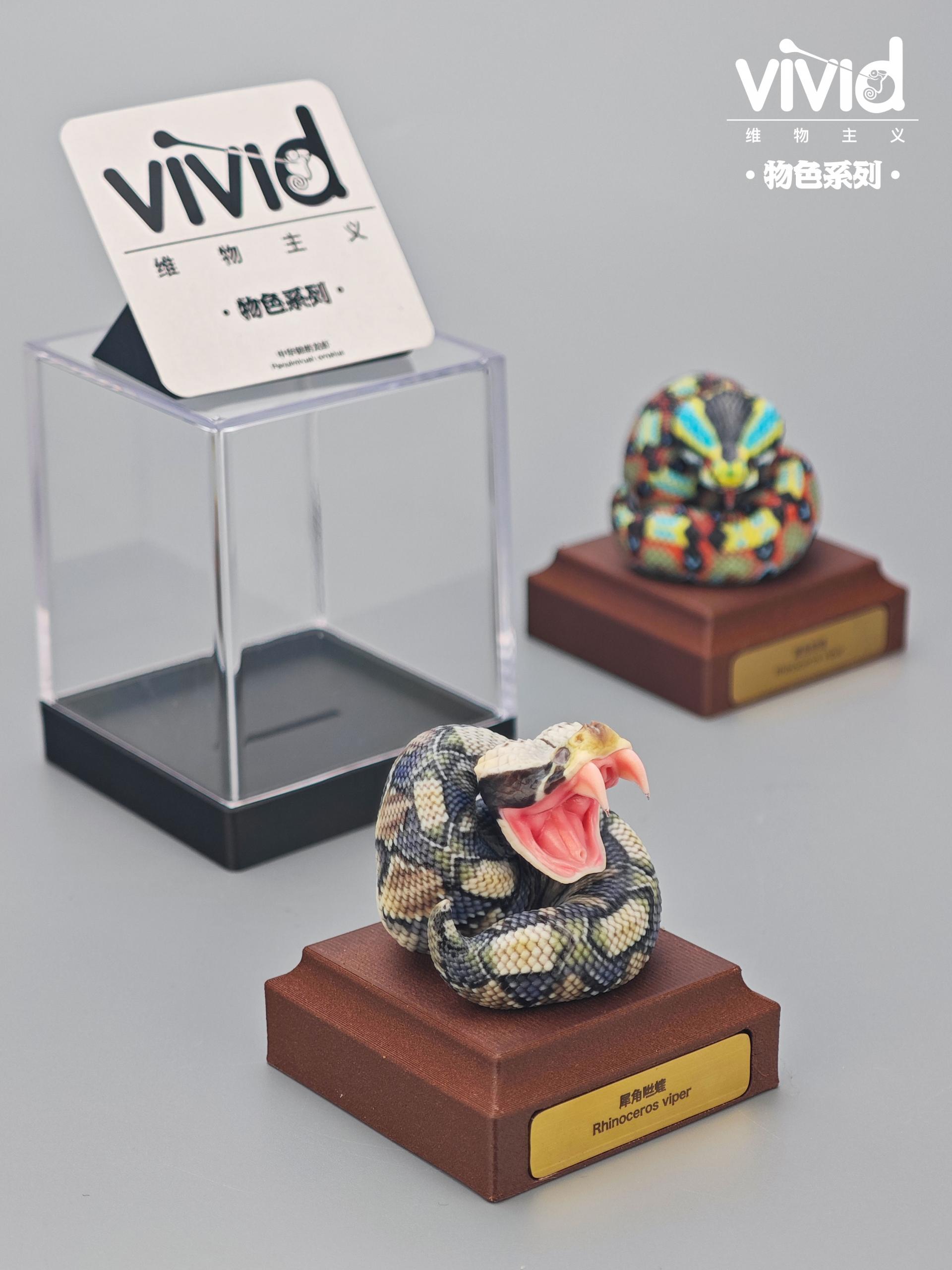 (예약 상품) Vivid스튜디오 물색 시리즈 가분 바이퍼
