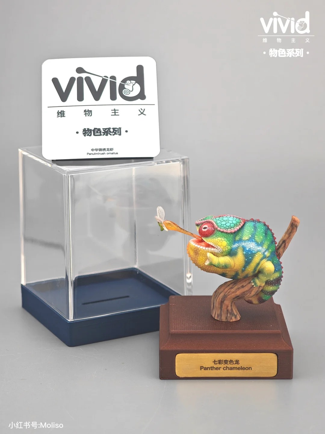 (예약 상품) Vivid스튜디오 물색 시리즈 팬서카멜레온(그린)