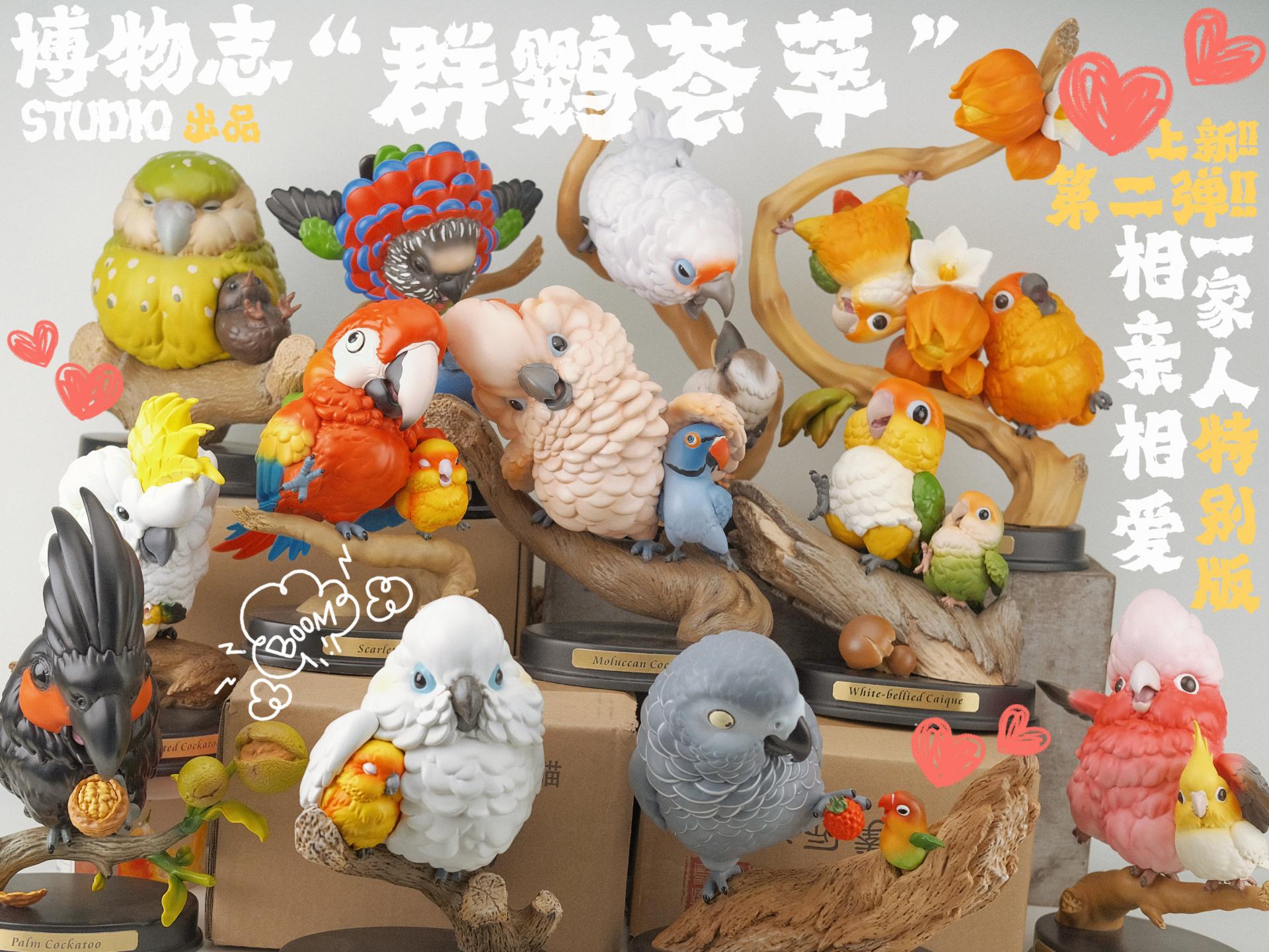 박물지스튜디오 앵무새 무리 특별판