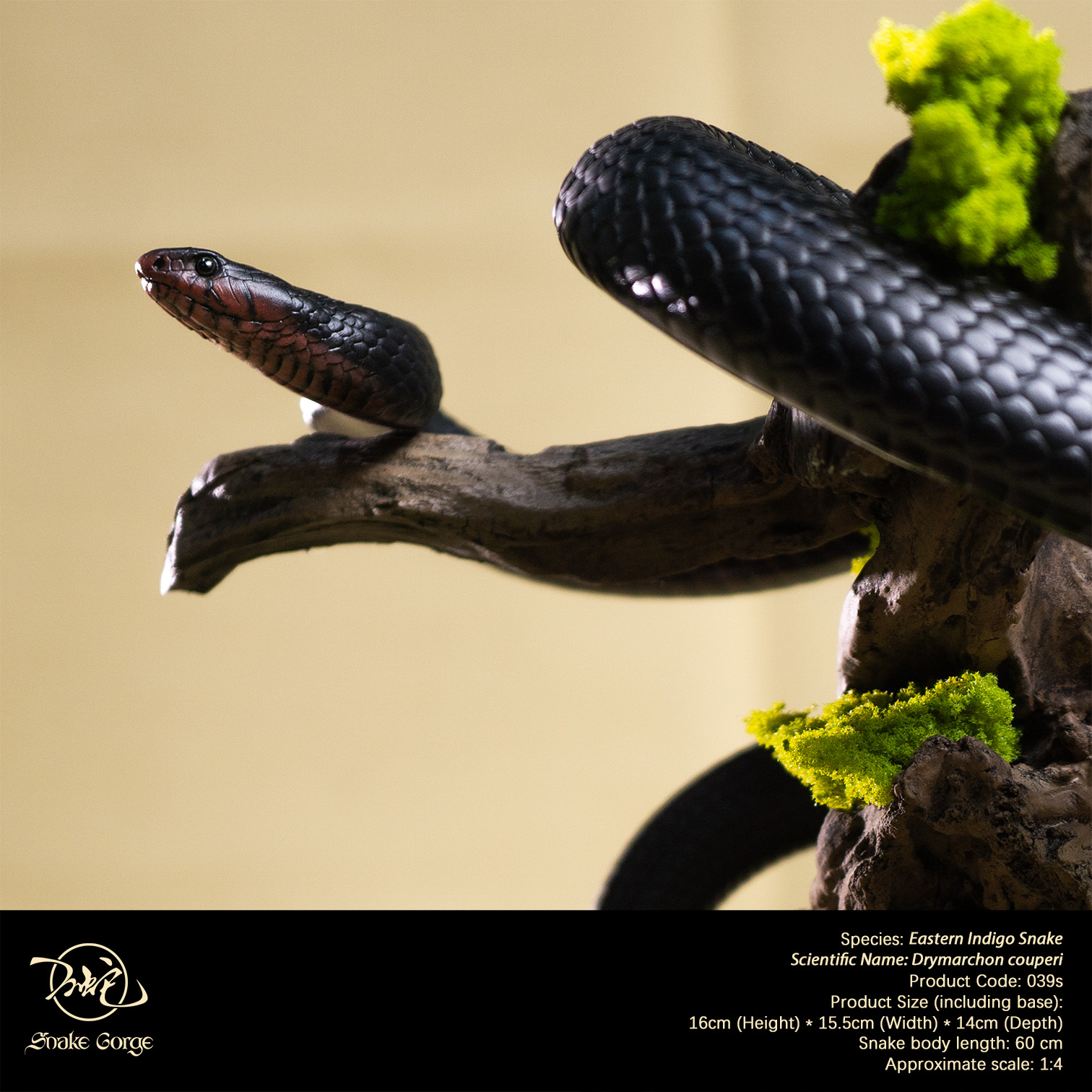 (예약 상품) Snake Gorge스튜디오 동부인디고뱀