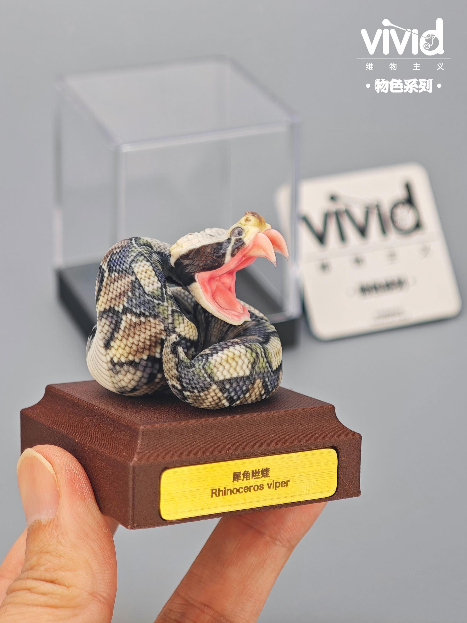 (예약 상품) Vivid스튜디오 물색 시리즈 가분 바이퍼