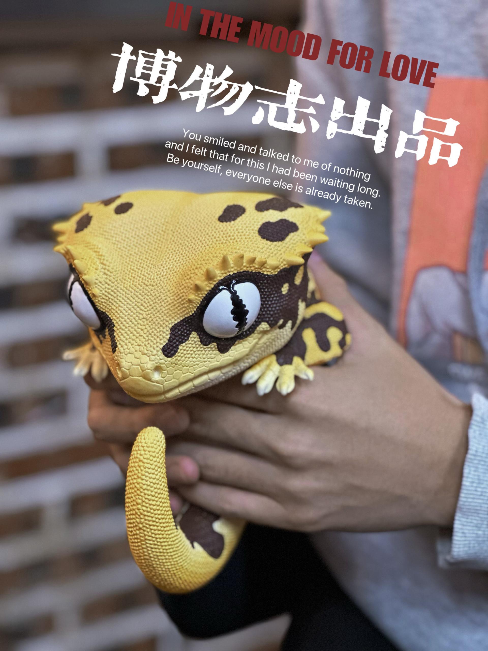 박물지스튜디오 크레스티드 게코 PLUS VER