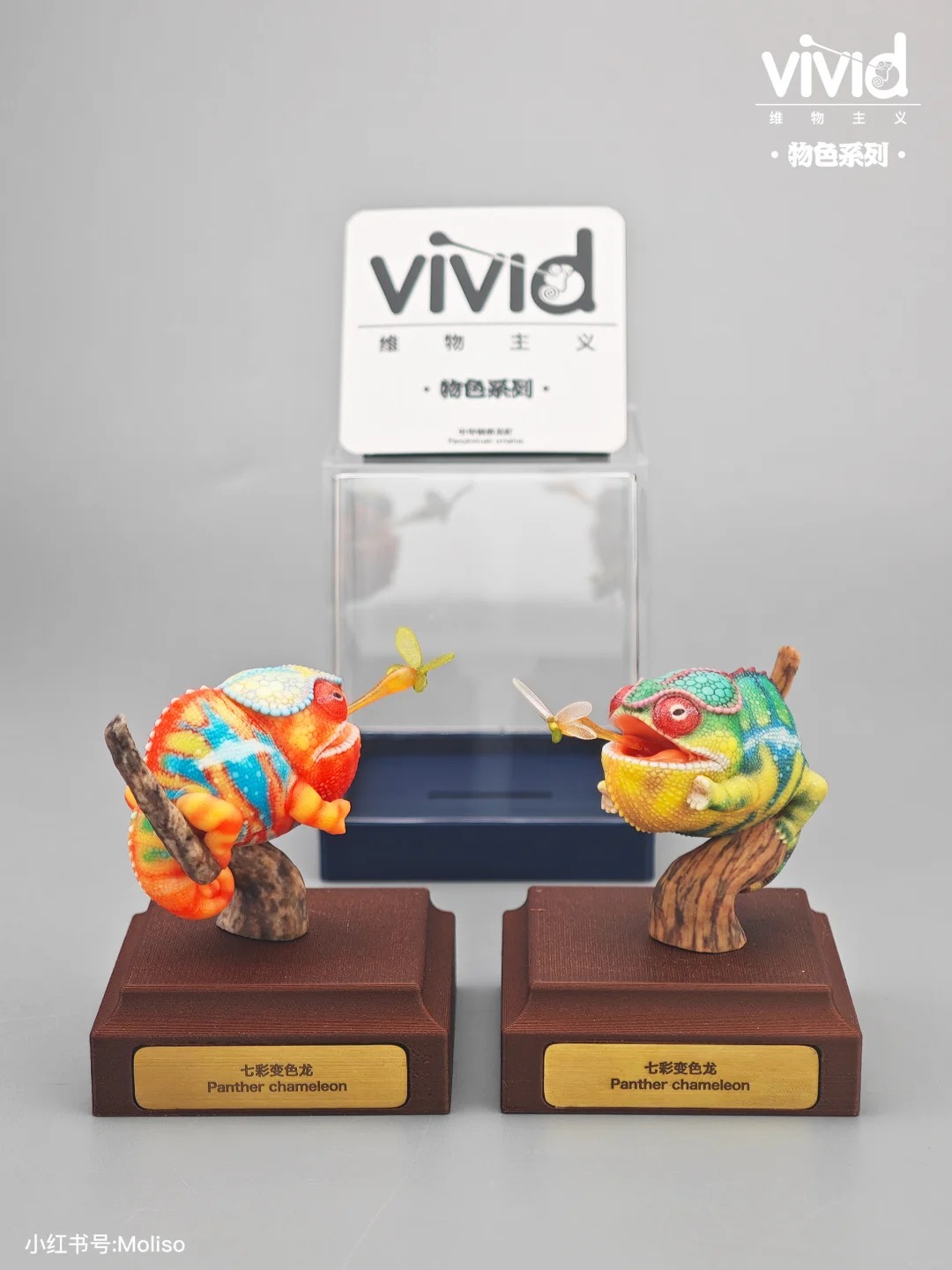 (예약 상품) Vivid스튜디오 물색 시리즈 팬서카멜레온(그린)