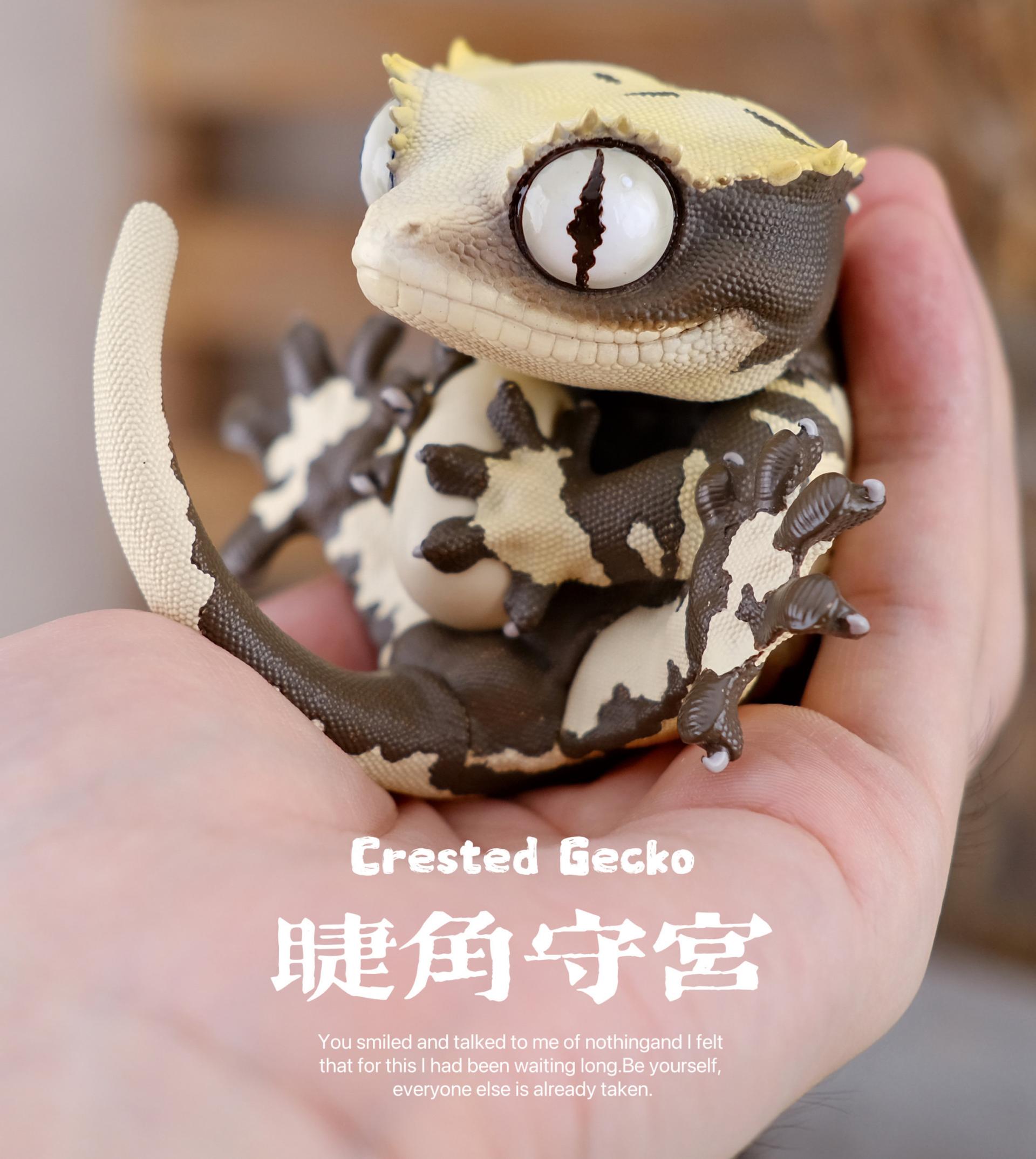 박물지스튜디오 용안대열 크레스티드 게코