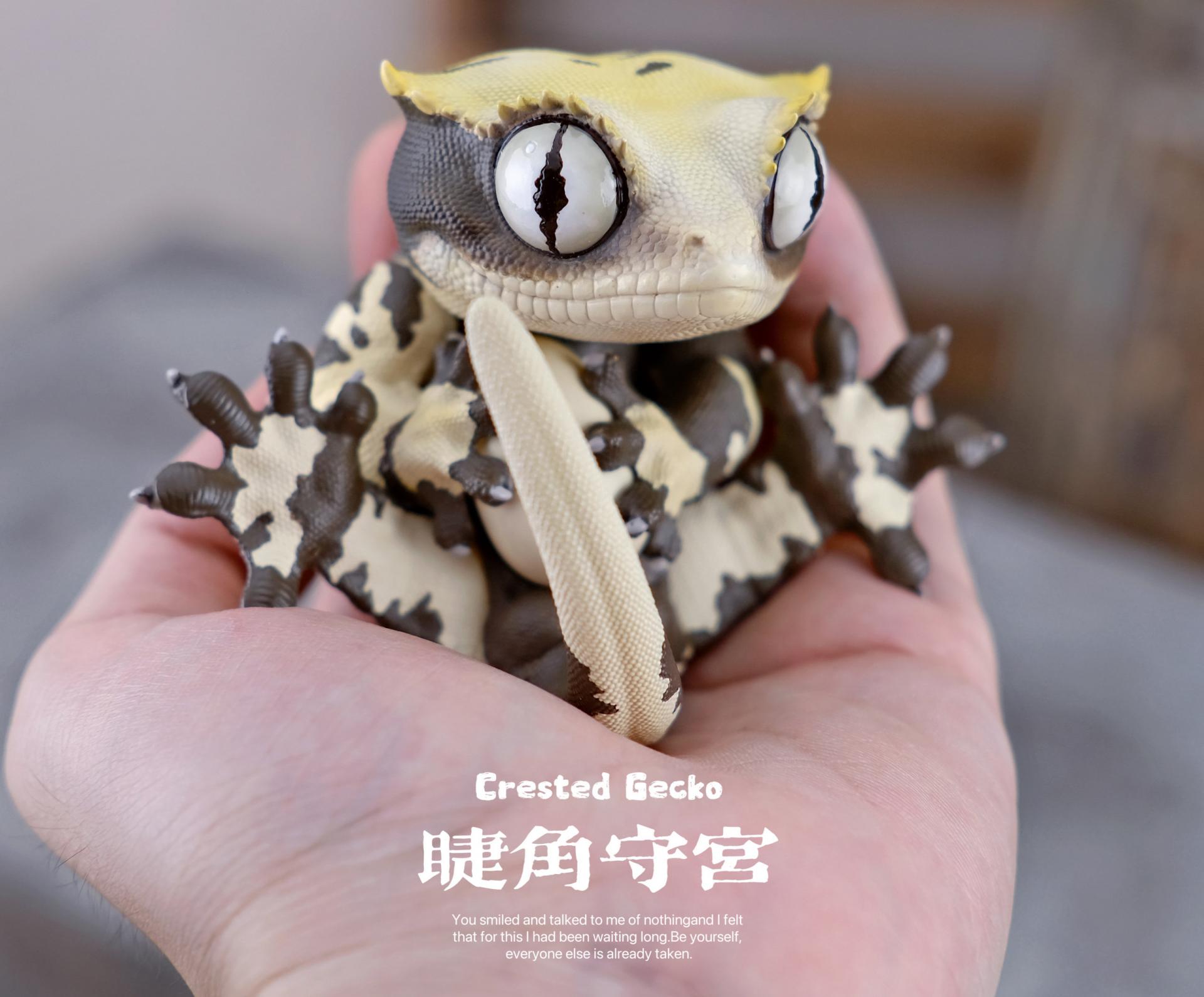 박물지스튜디오 용안대열 크레스티드 게코