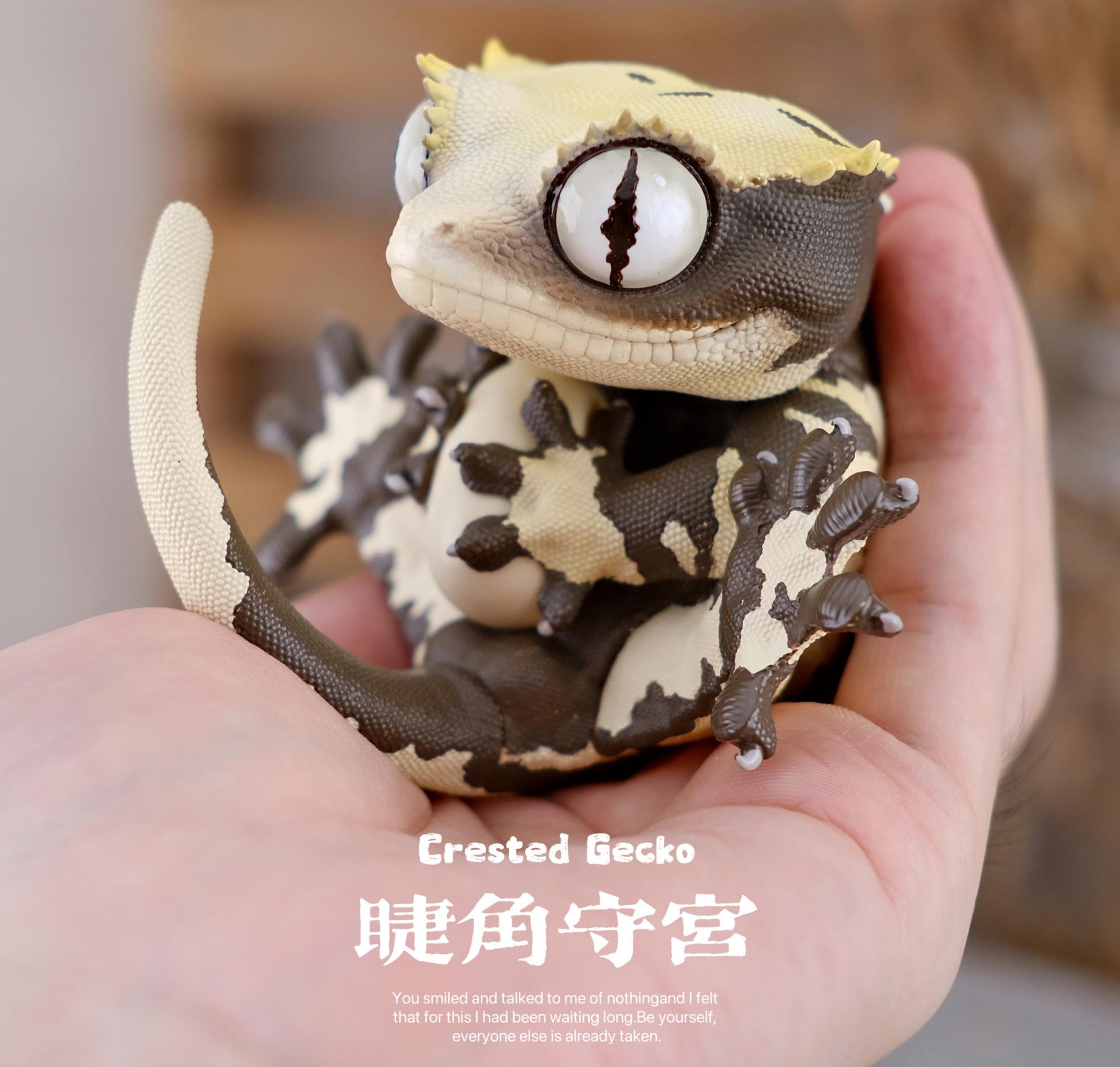 박물지스튜디오 용안대열 크레스티드 게코