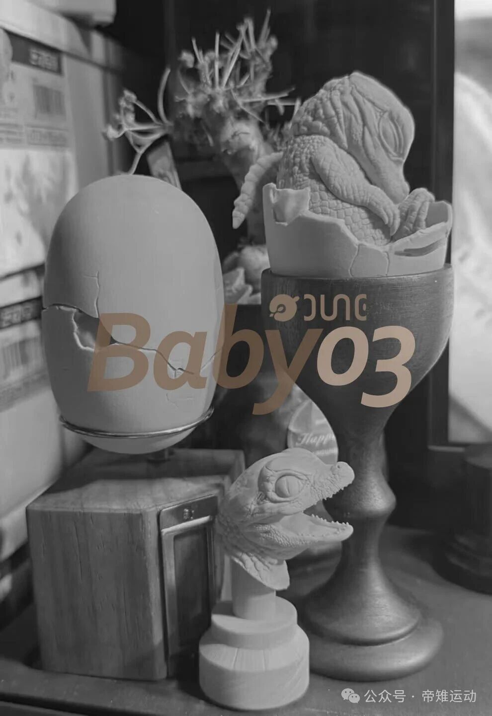 (예약 상품) JuneGK BABY시리즈 NO.3 양쯔강악어 부화