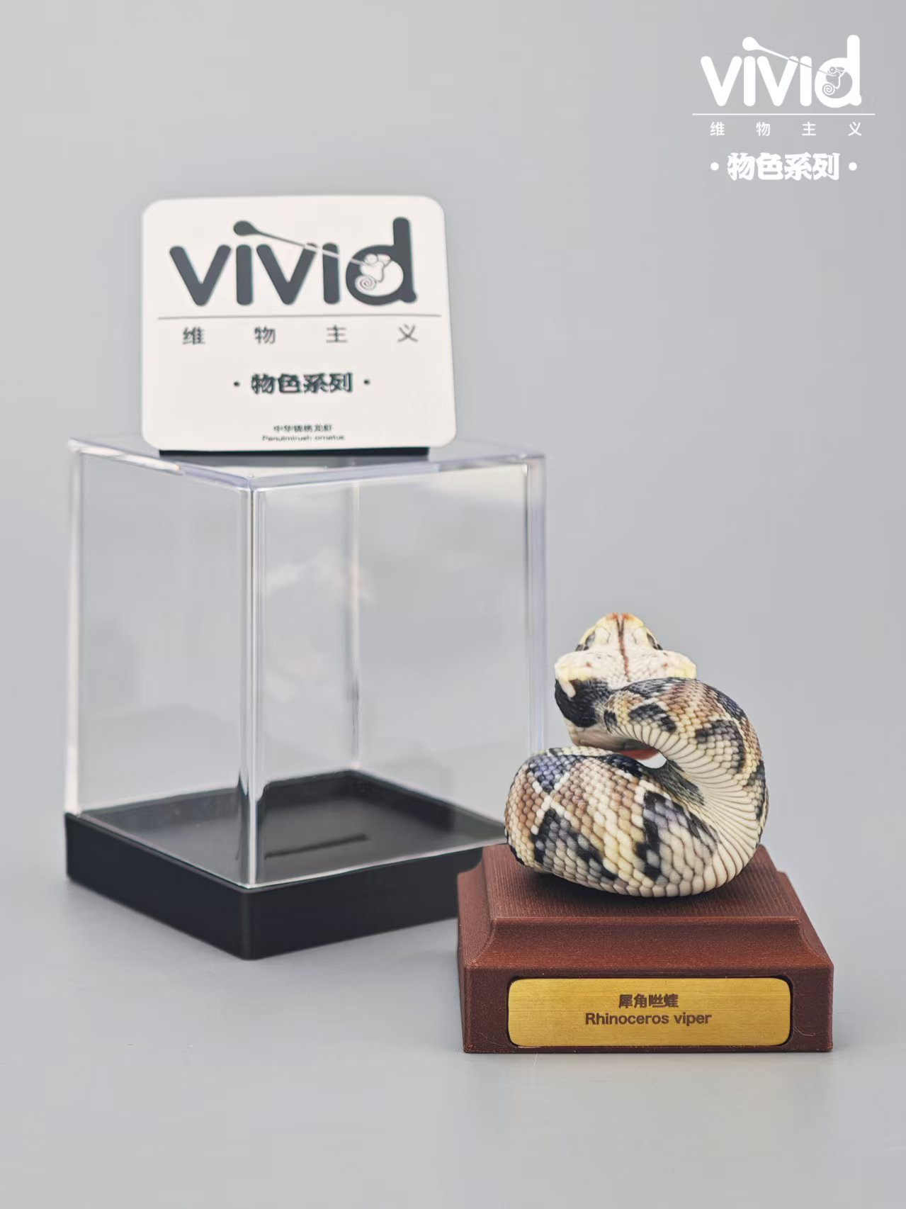(예약 상품) Vivid스튜디오 물색 시리즈 가분 바이퍼