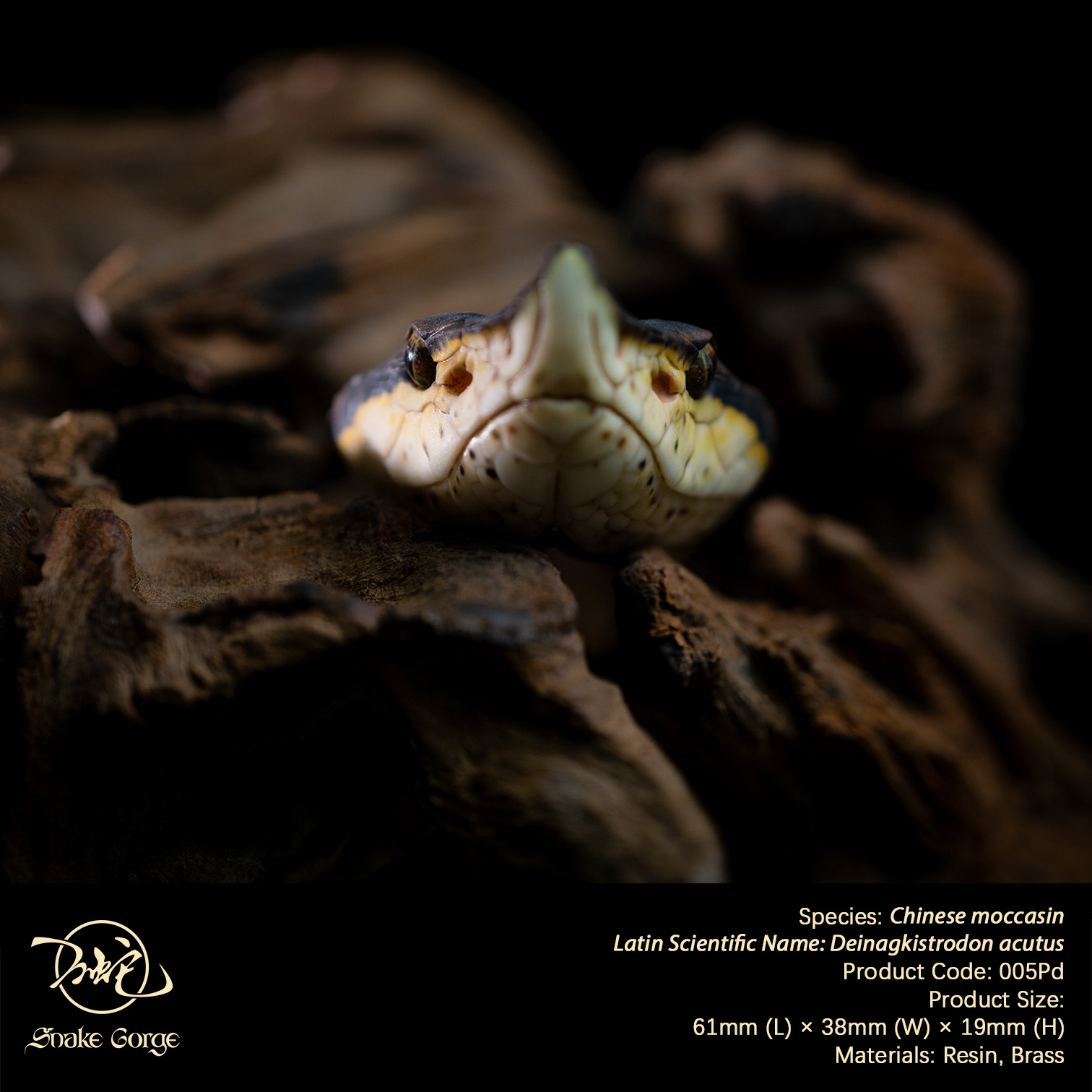 (예약 상품) Snake Gorge스튜디오 백보사 펜던트