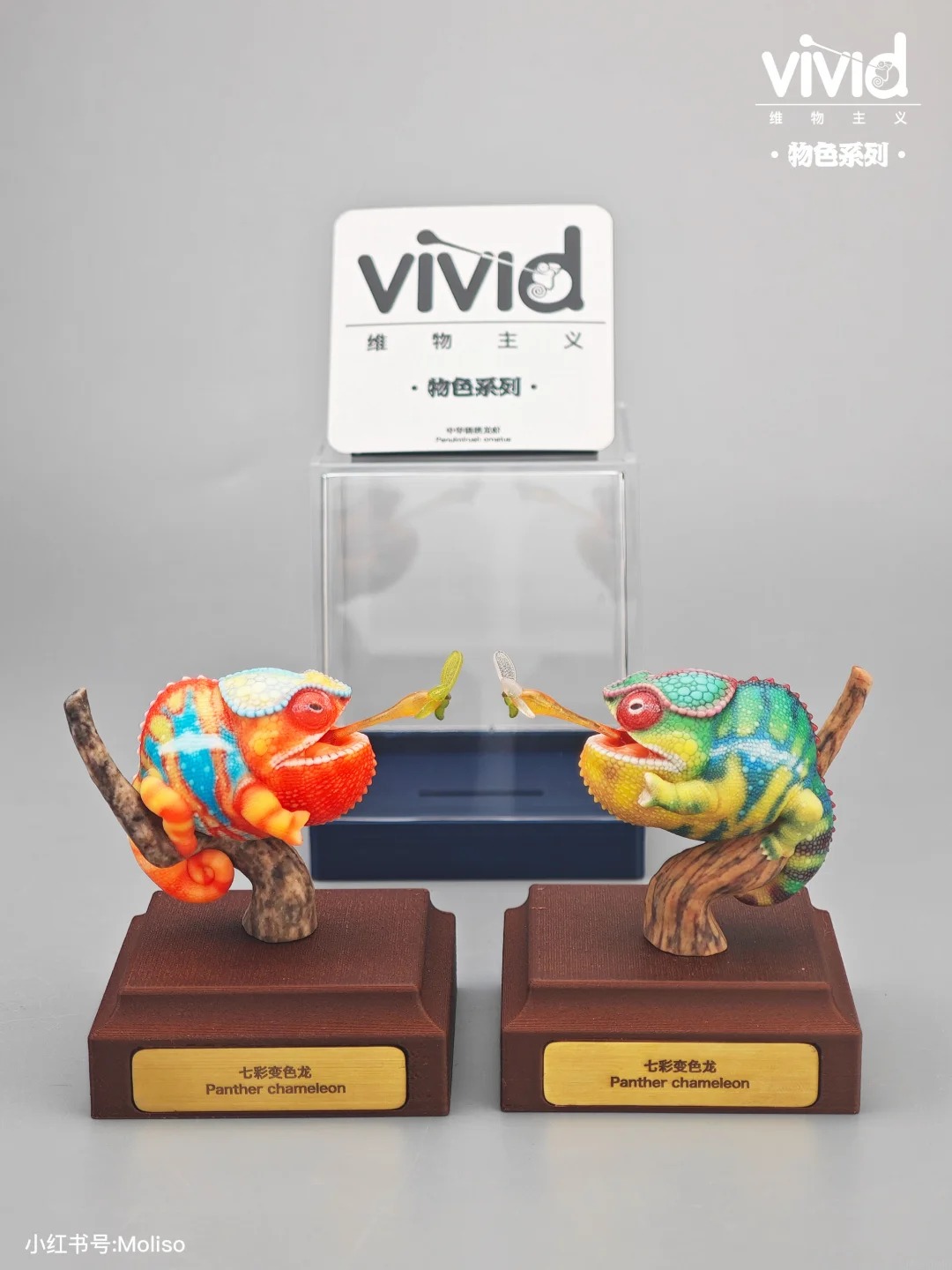 (예약 상품) Vivid스튜디오 물색 시리즈 팬서카멜레온(그린)