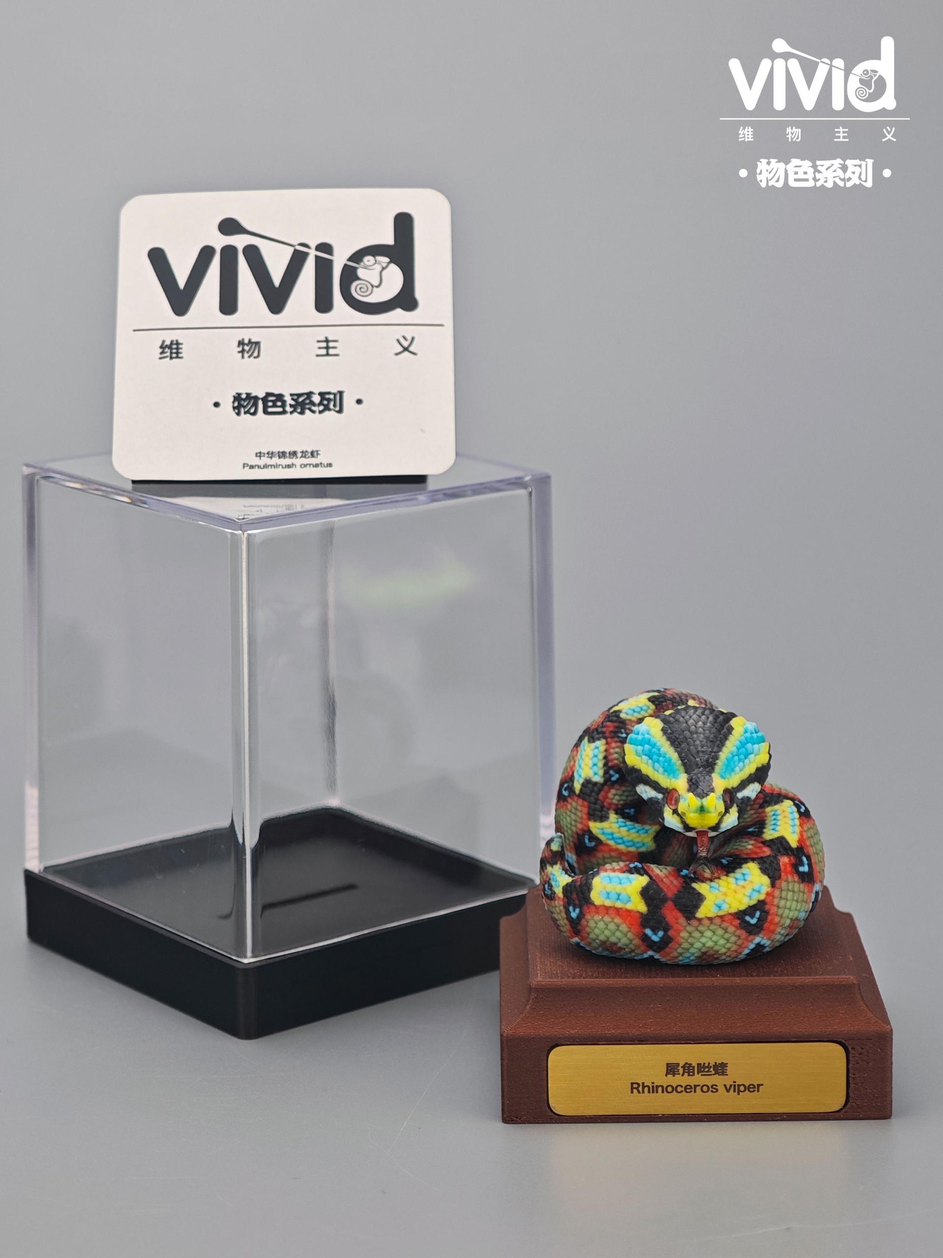 (예약 상품) Vivid스튜디오 물색 시리즈 라이노 바이퍼