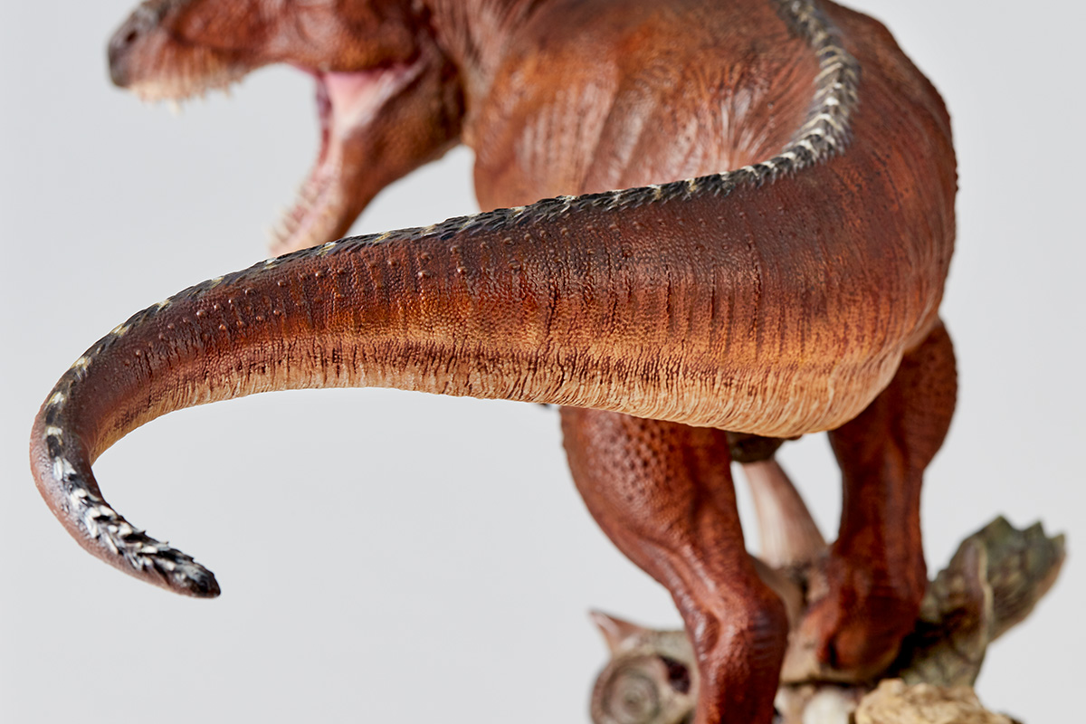 카이요도 NATURE TALES 제6탄 T-REX