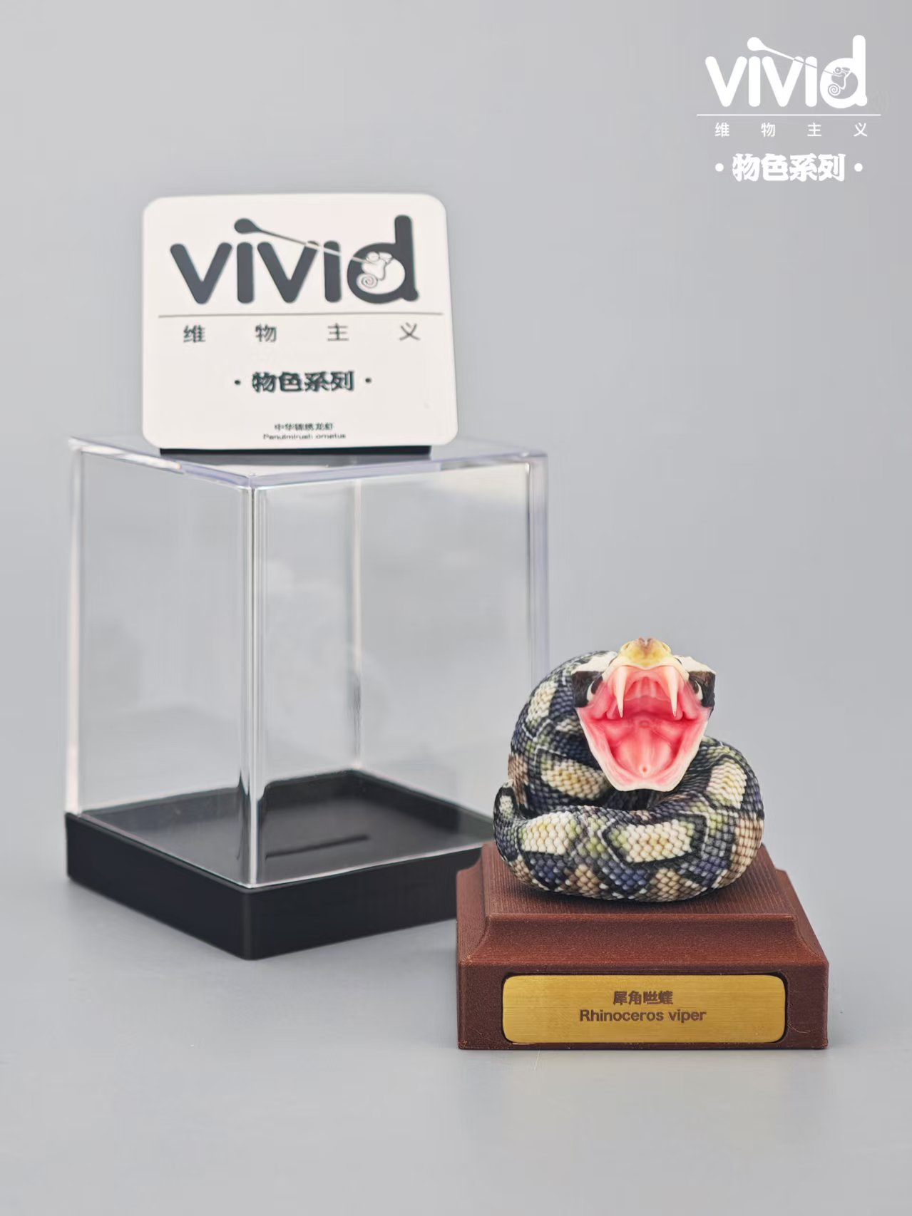 (예약 상품) Vivid스튜디오 물색 시리즈 가분 바이퍼