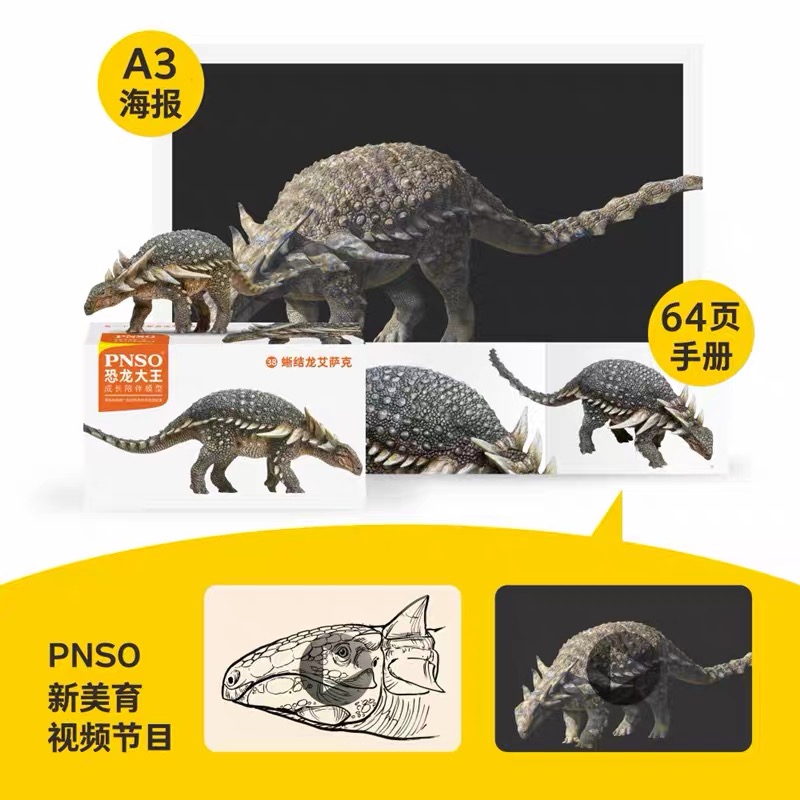 PNSO 보레알로펠타(38)