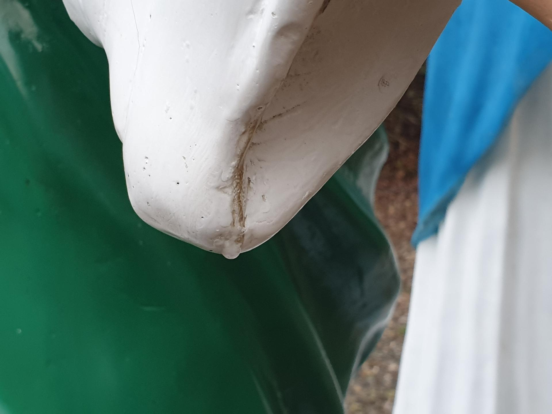 006a2318091d6.jpg