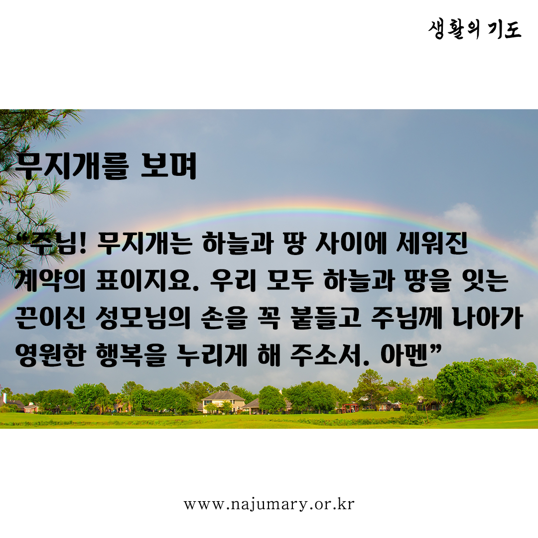00b07678112cd.png