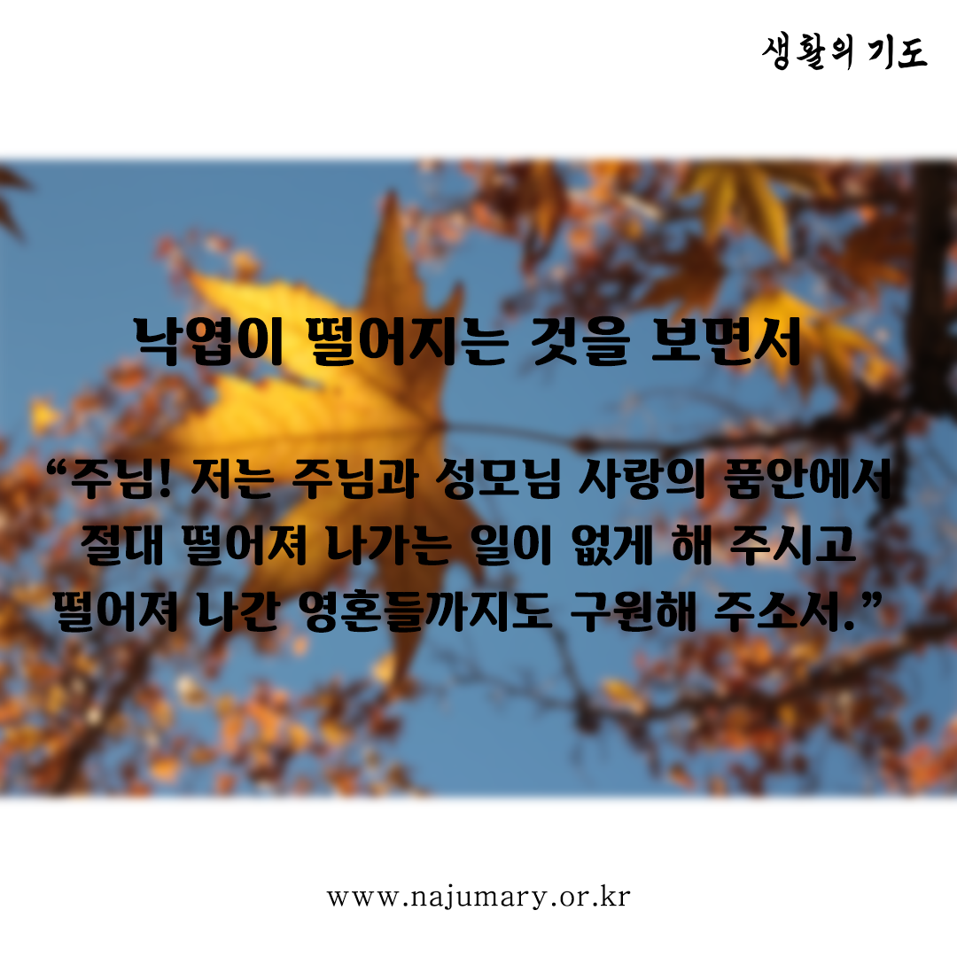 00dd679205076.png