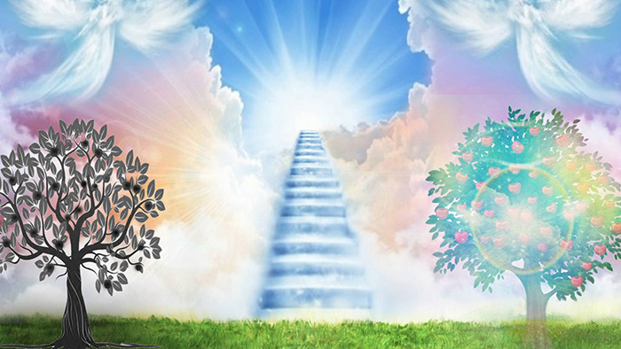 01eeb2f5439f3.png