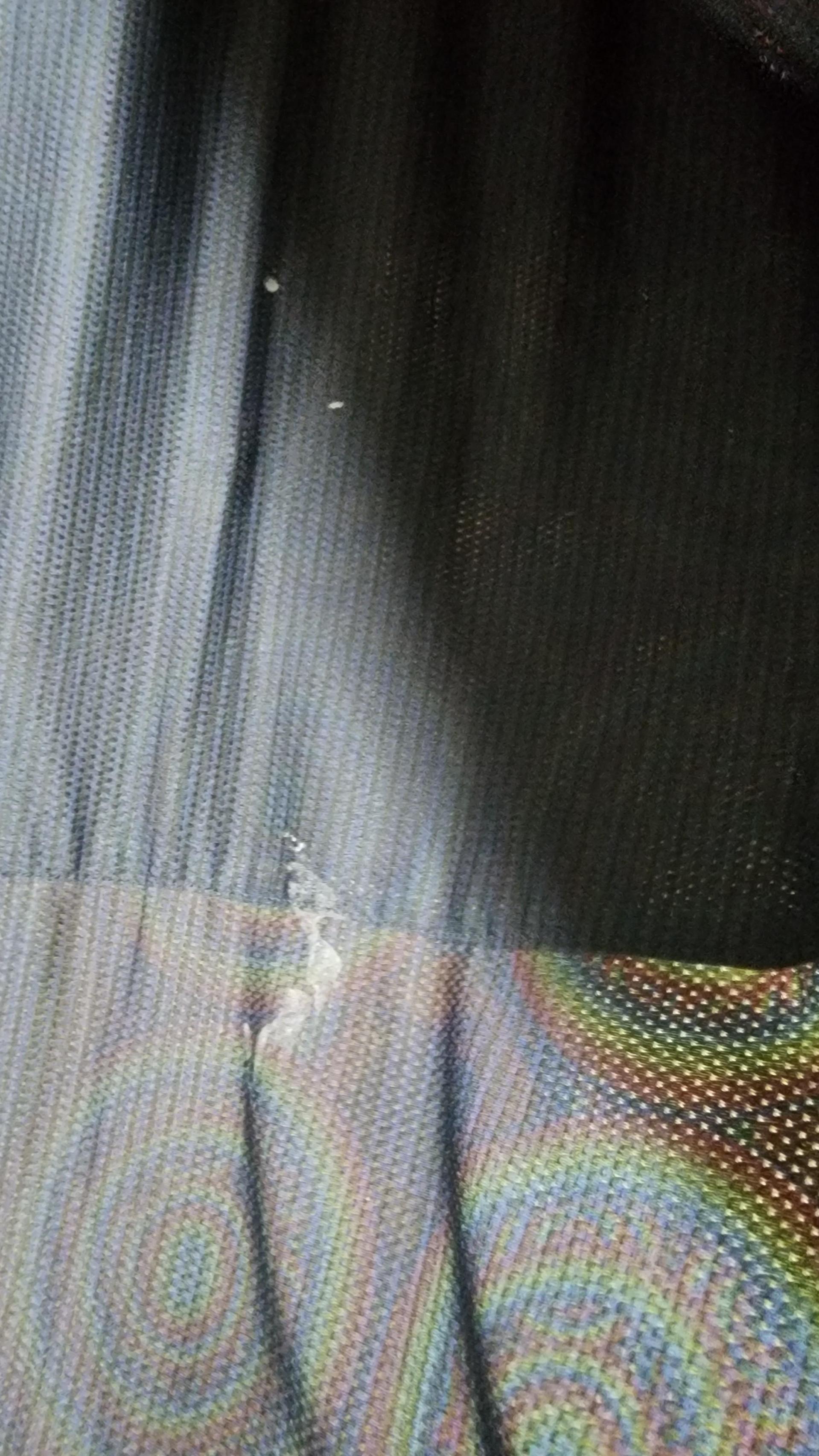 095be494565c7.jpg
