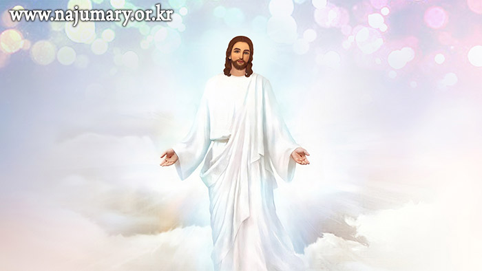 0b36000678ee8.jpg