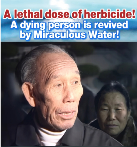 0f435df534f7c.png