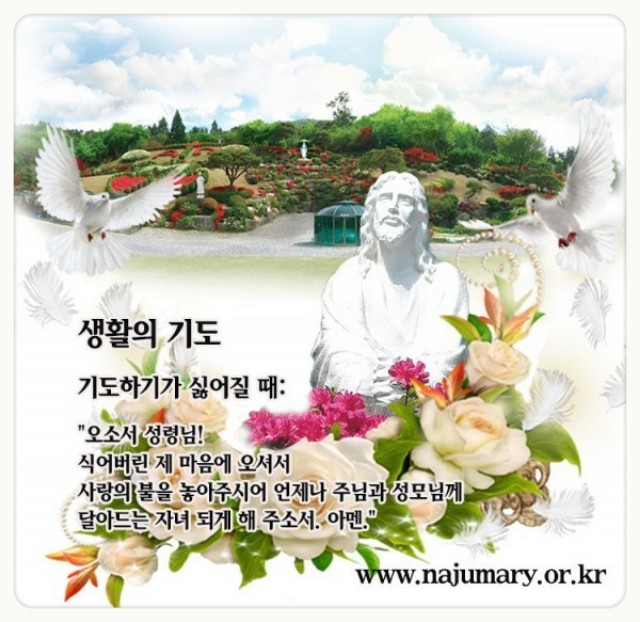 15c778d4a17a6.jpg
