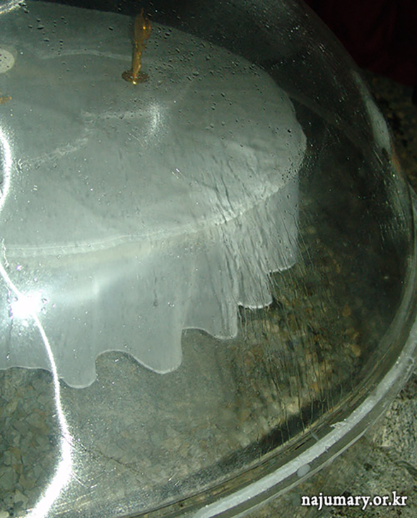 197da9521e5e3.png