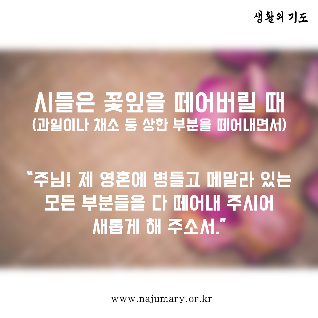 1bfa09067cb73.png