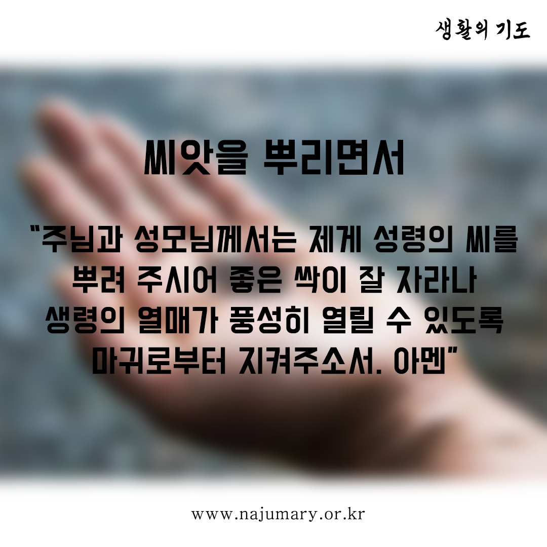 20a2271f1703d.png