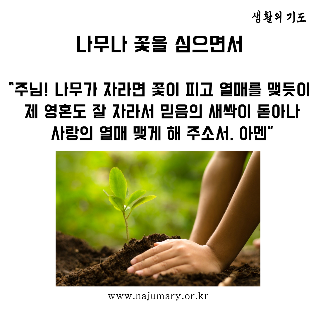 2543757a12e77.png