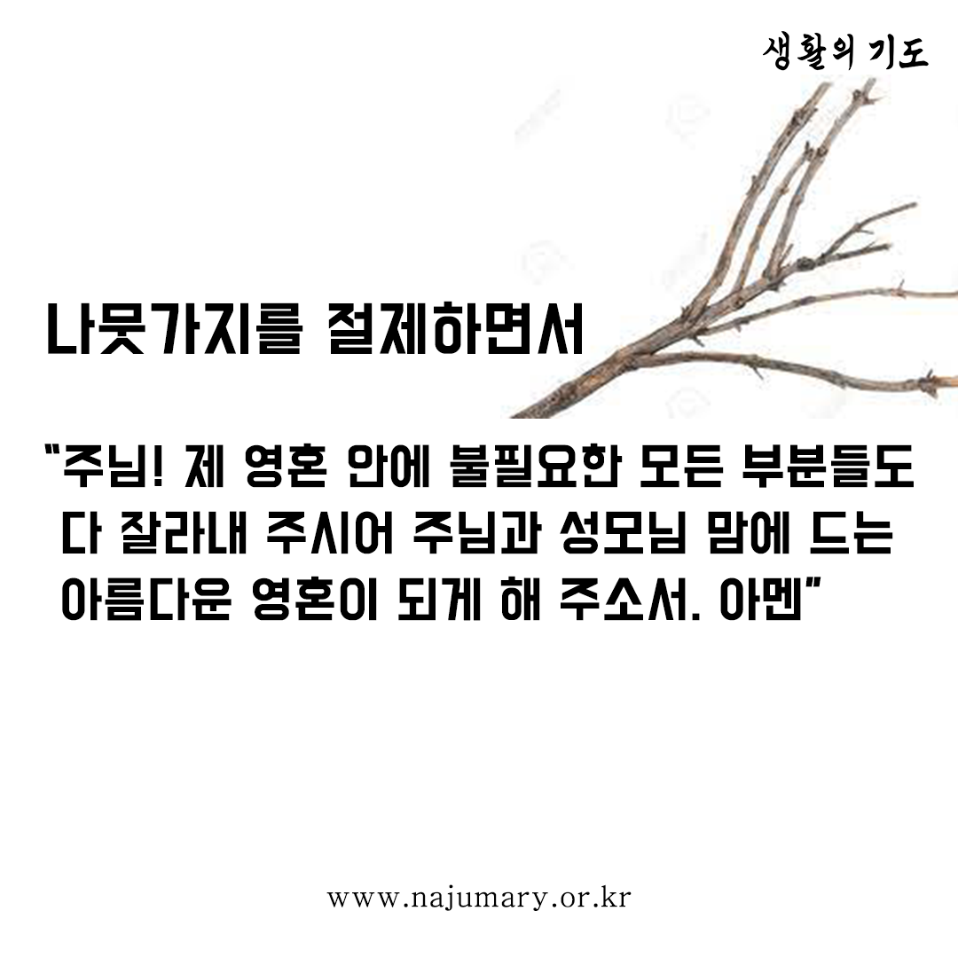 263c21ce20307.png